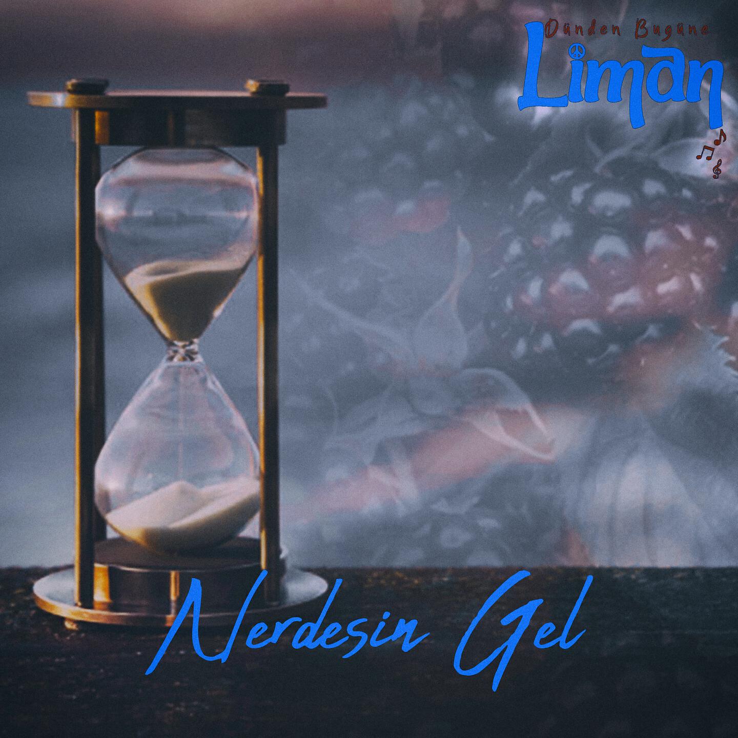 Постер альбома Nerdesin Gel