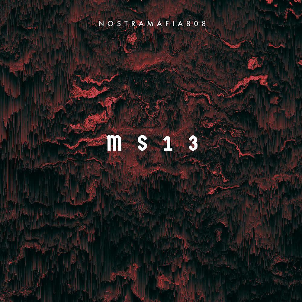 Постер альбома MS13