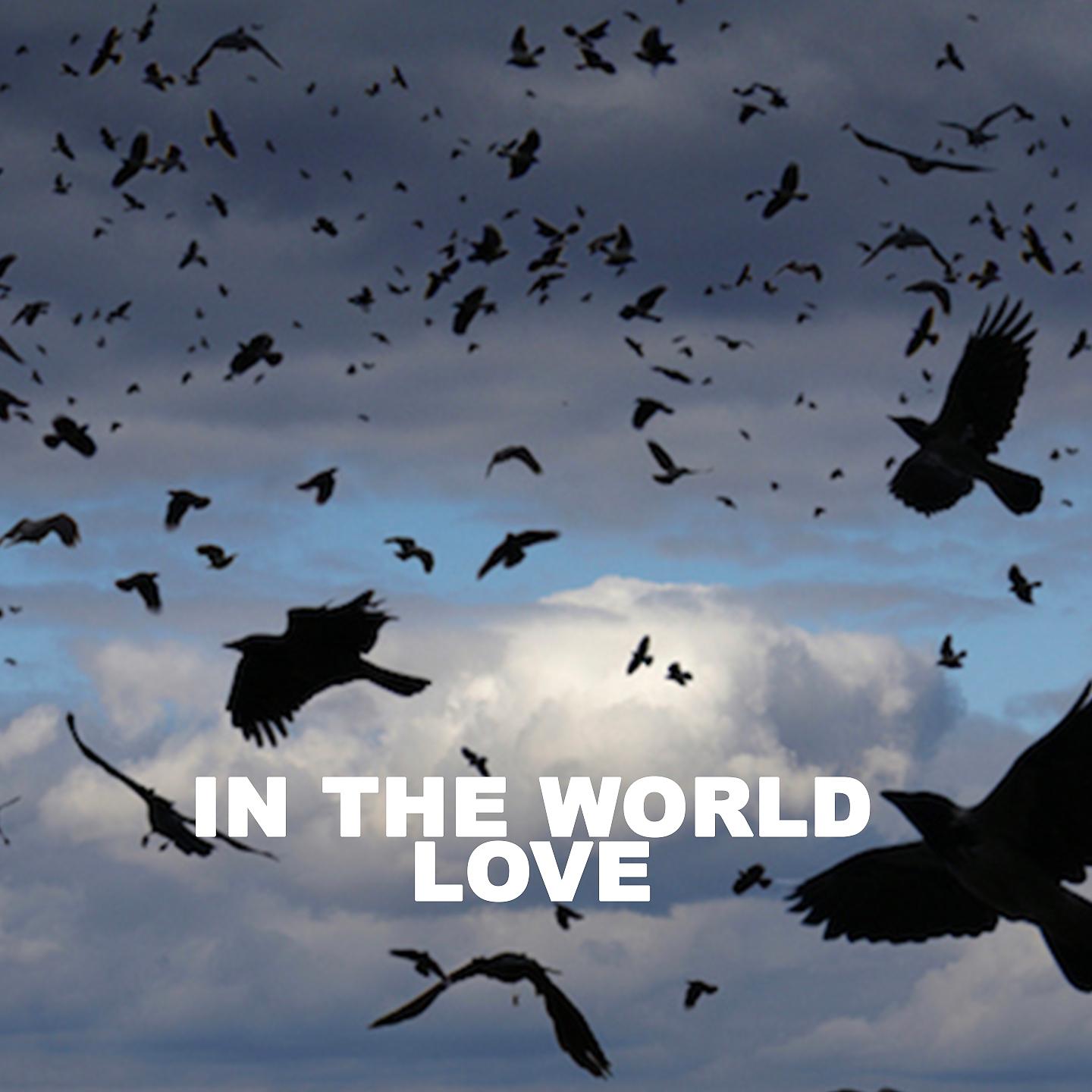 Постер альбома In the World Love