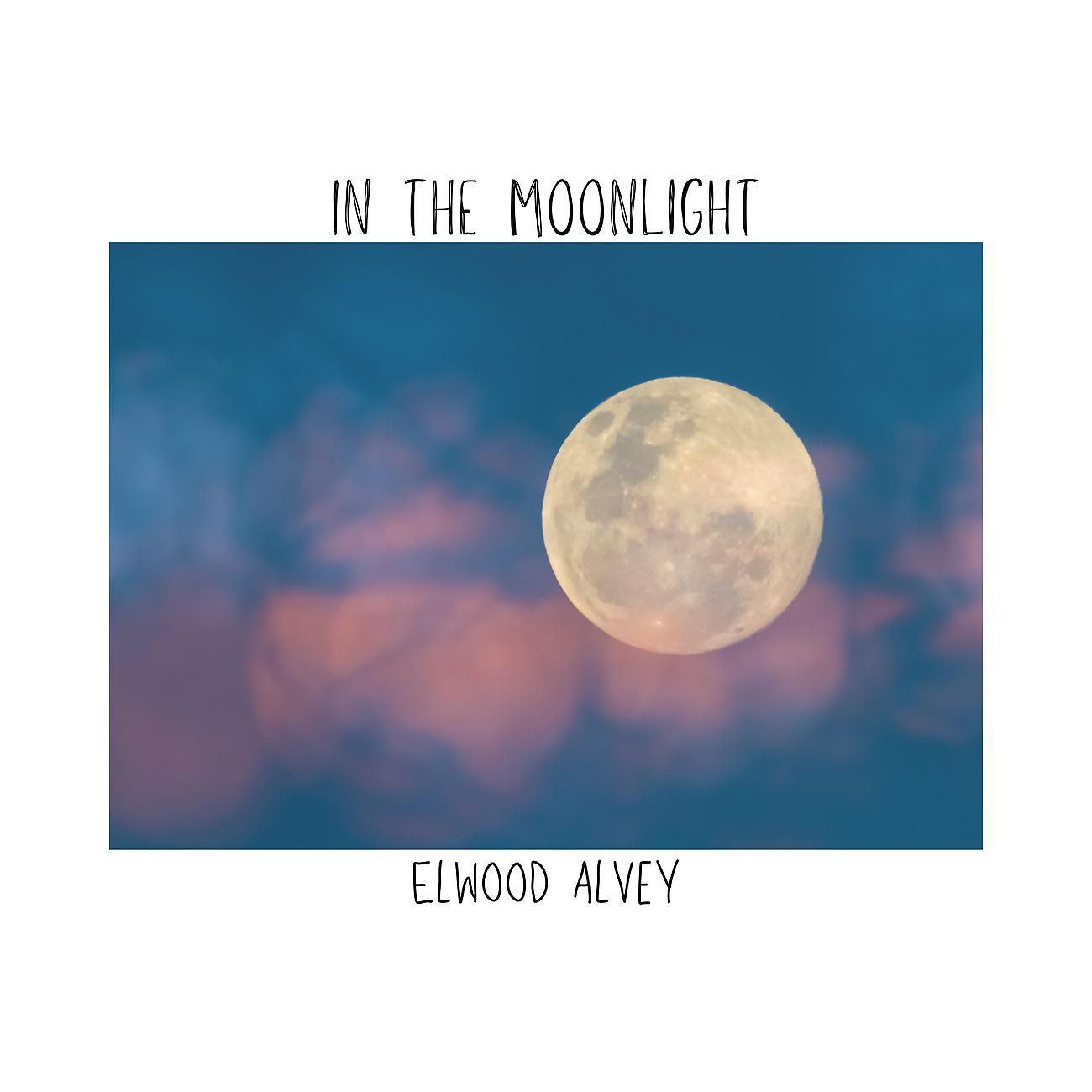 Постер альбома In the moonlight