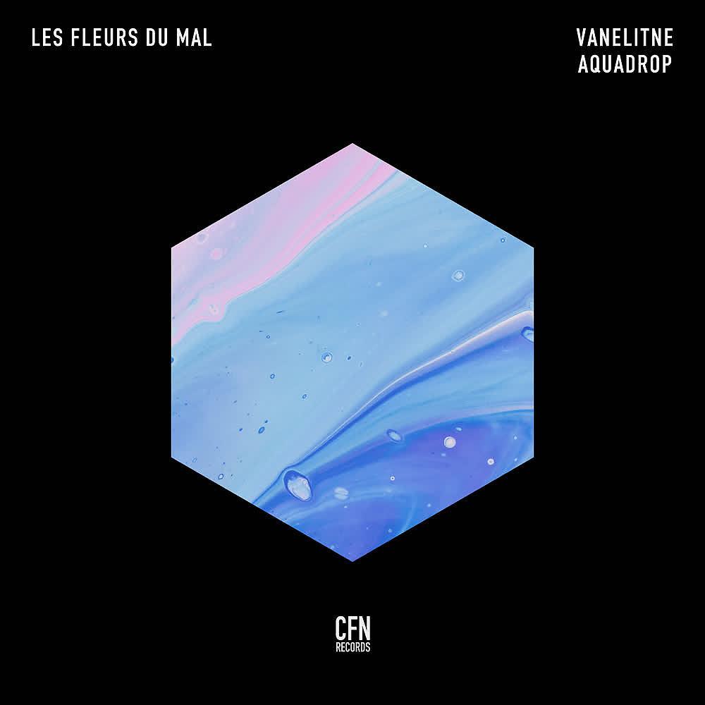 Постер альбома Les Fleurs Du Mal (Aquadrop Remix)