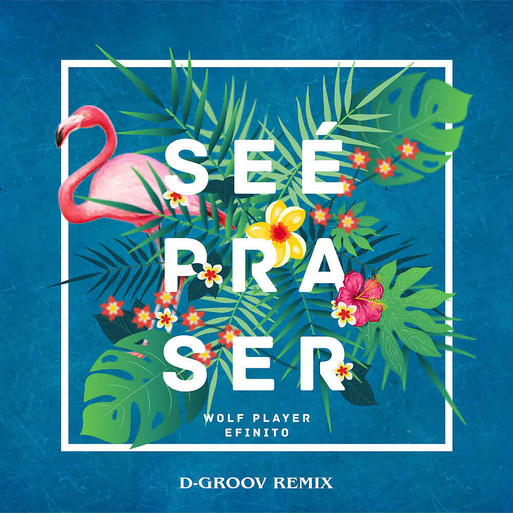 Wolf Player - Se É Pra Ser (D-Groov Remix)