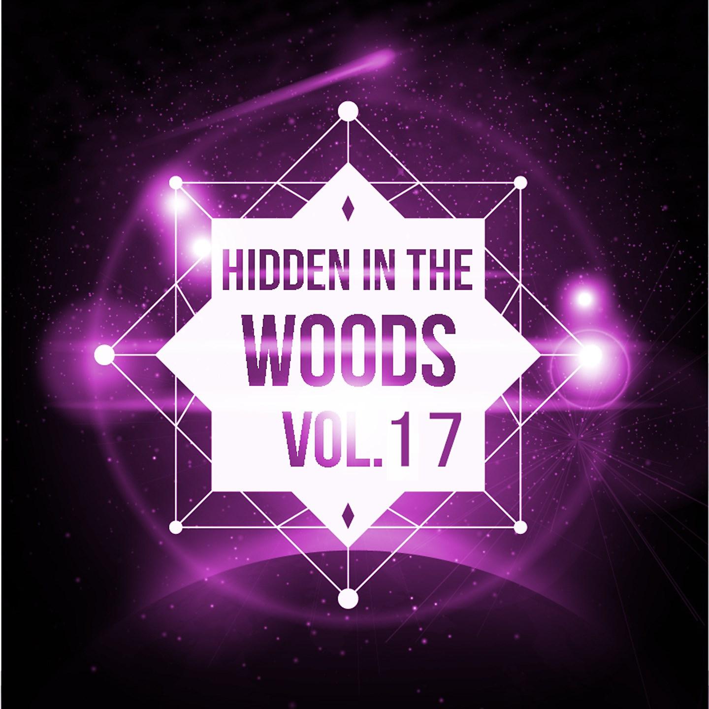 Постер альбома Hidden In The Woods Vol.17