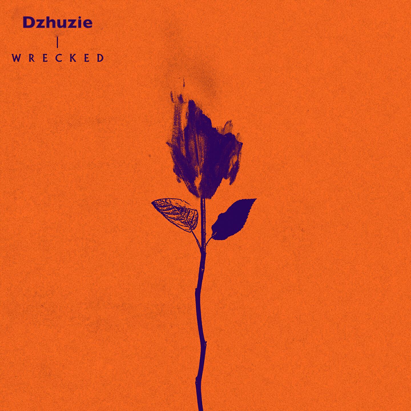 Dzhuzie - Wrecked (Remix)