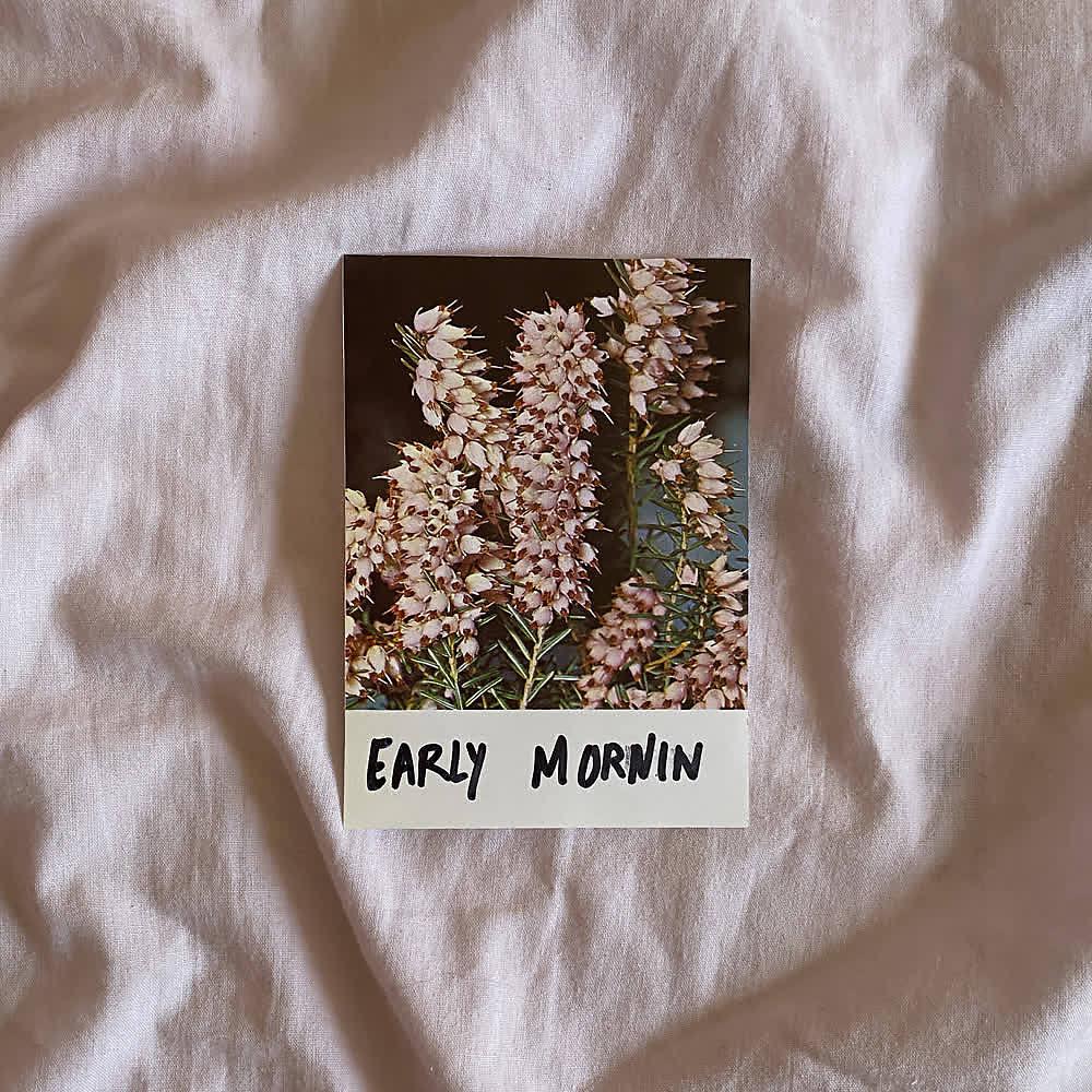 Постер альбома Early Mornin (Mixtape)