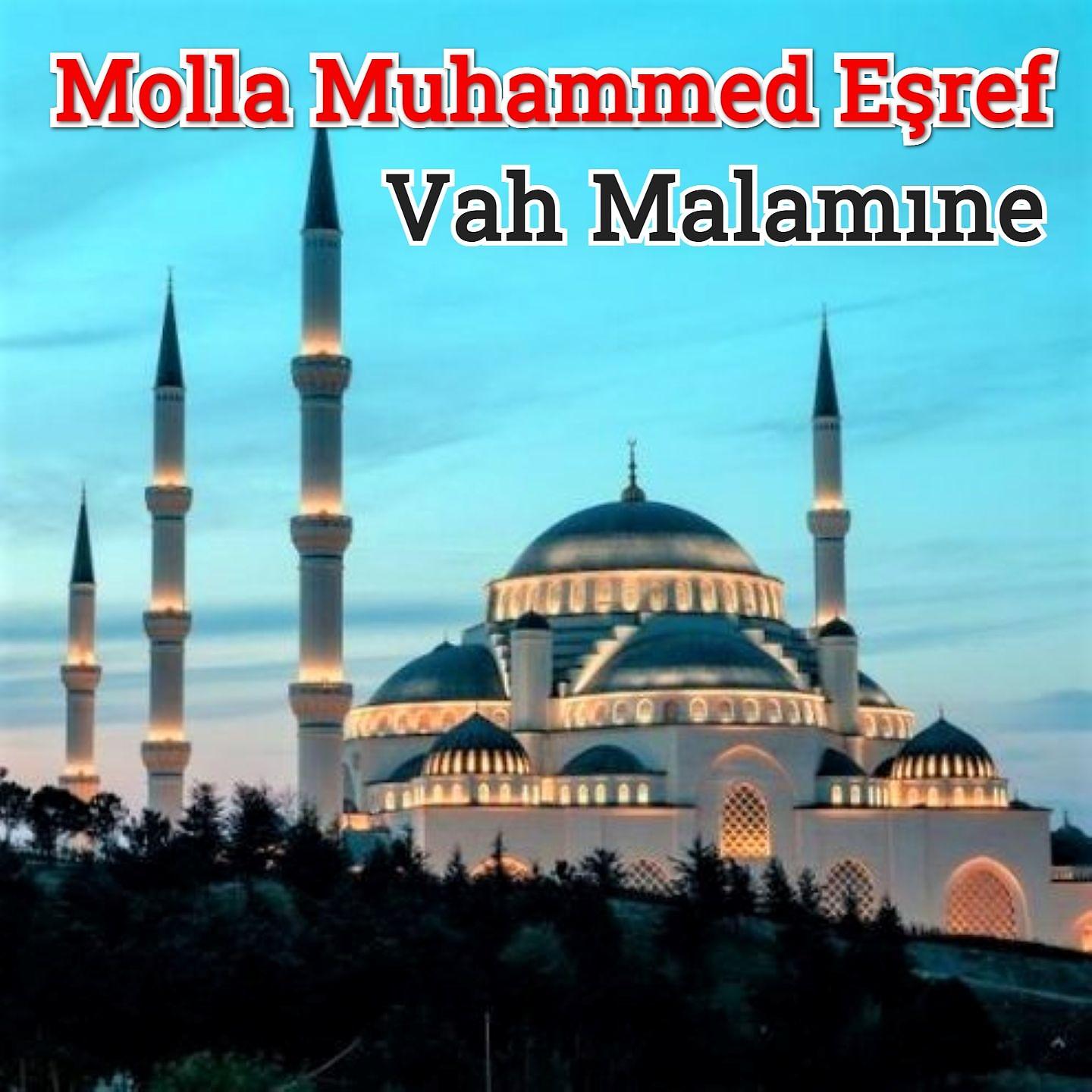 Постер альбома Vah Malamıne