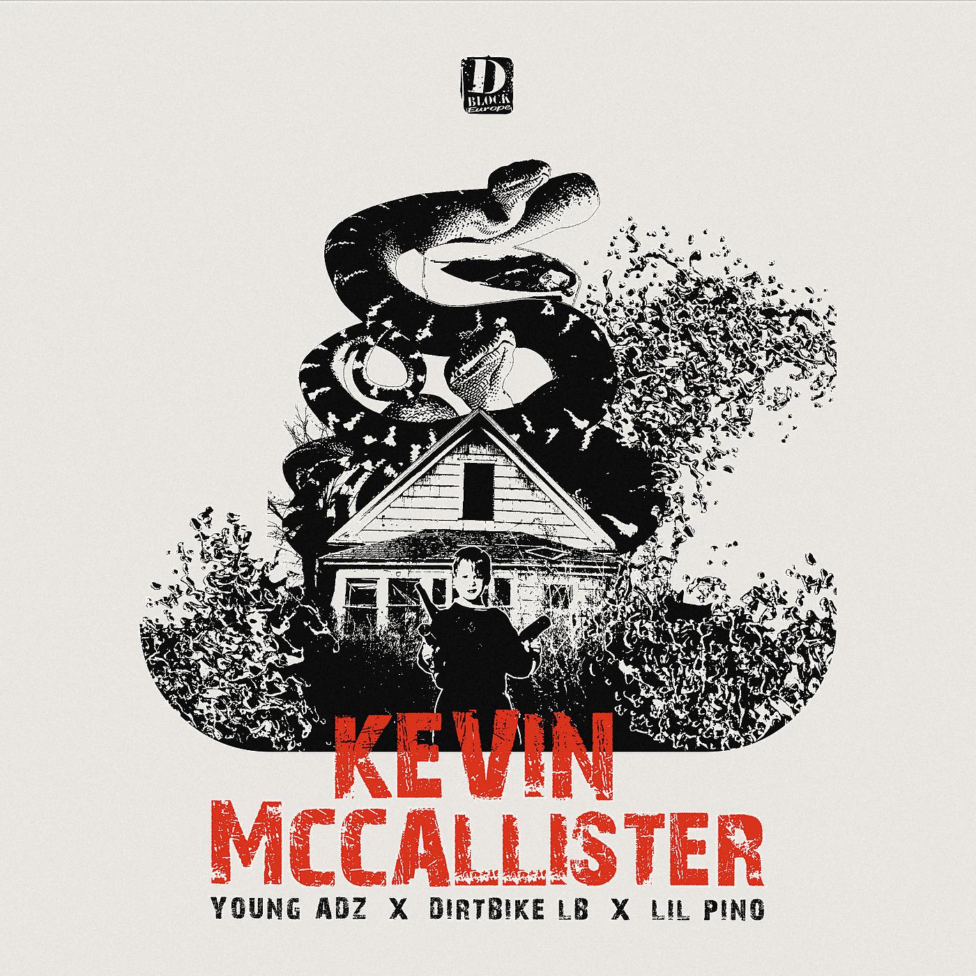 Постер альбома Kevin McCallister
