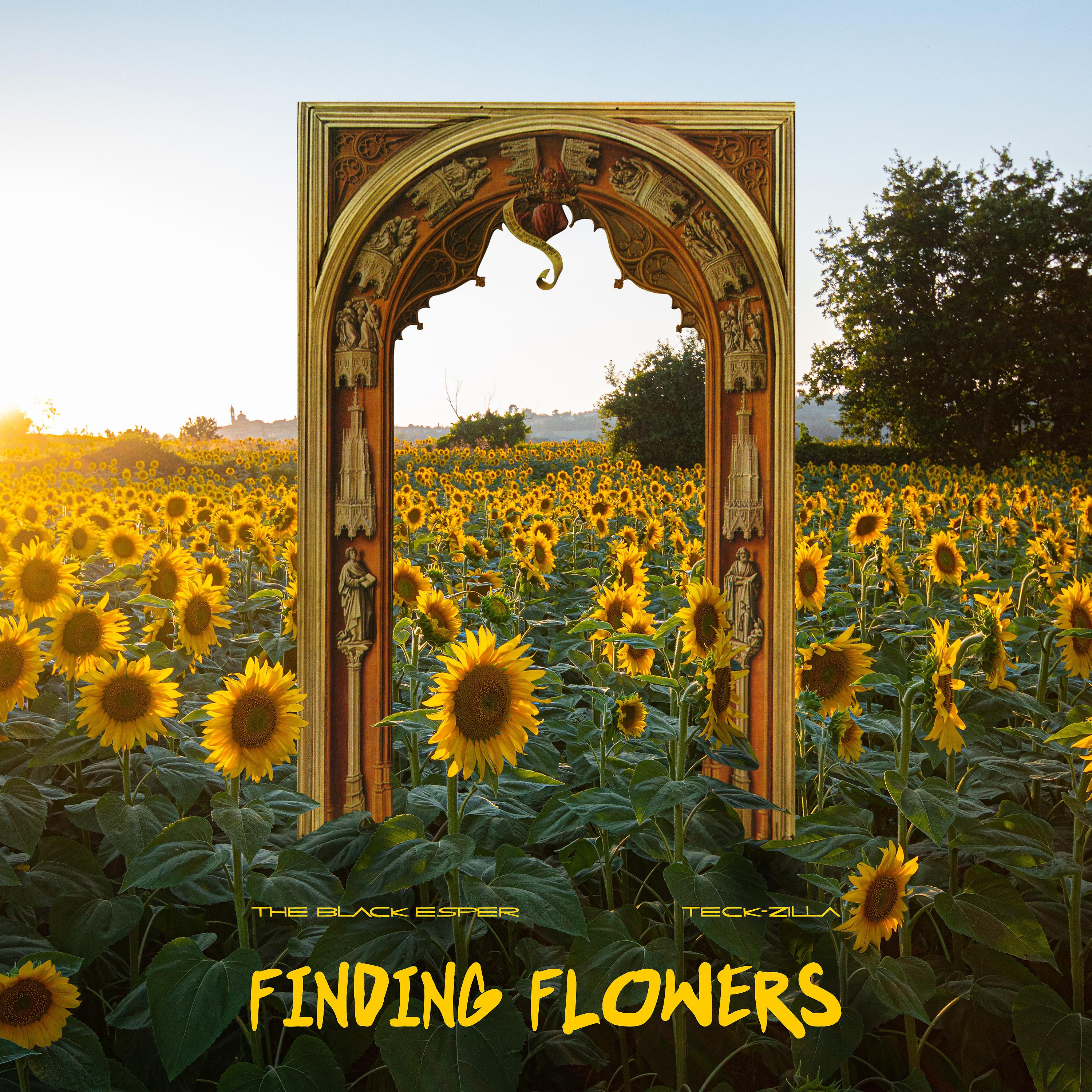 Постер альбома Finding Flowers