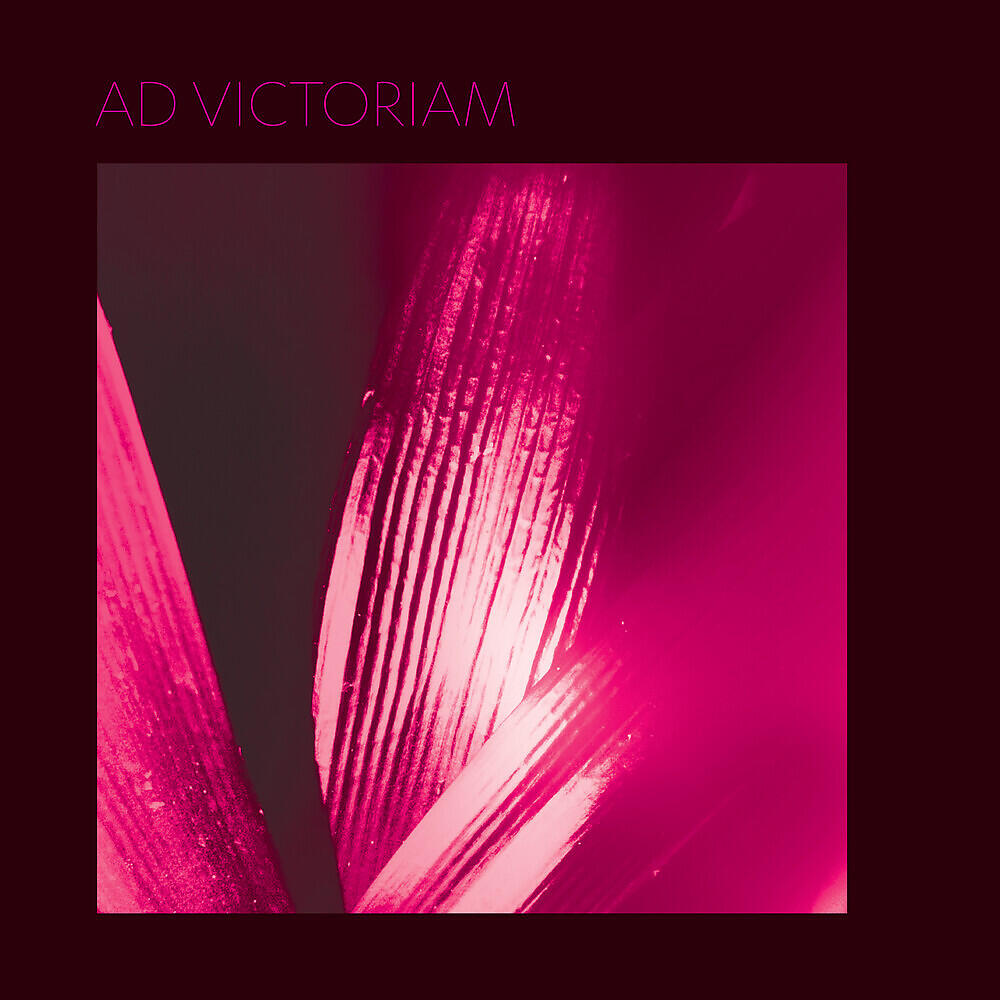 Pure Bathing Culture - Ad Victoriam