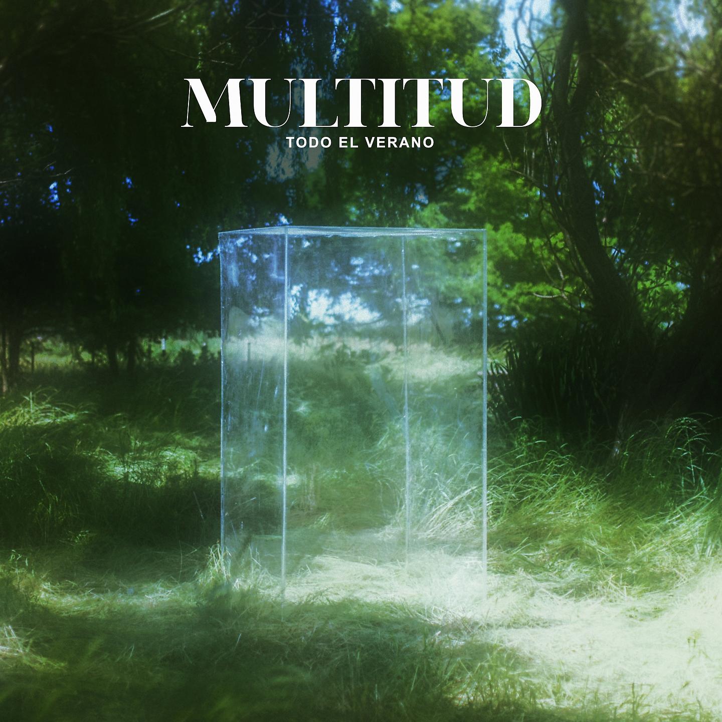 Постер альбома Multitud
