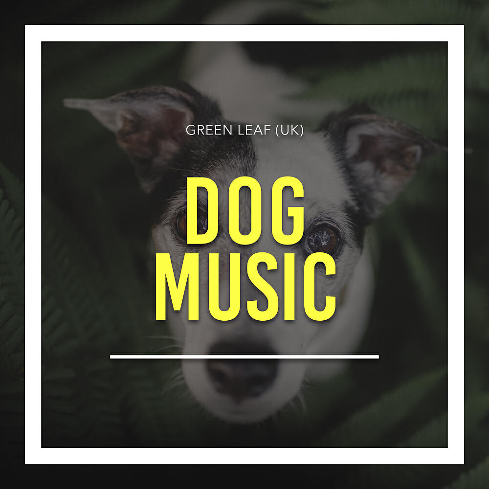 Dog Music - High Pitched Noise For Dogs