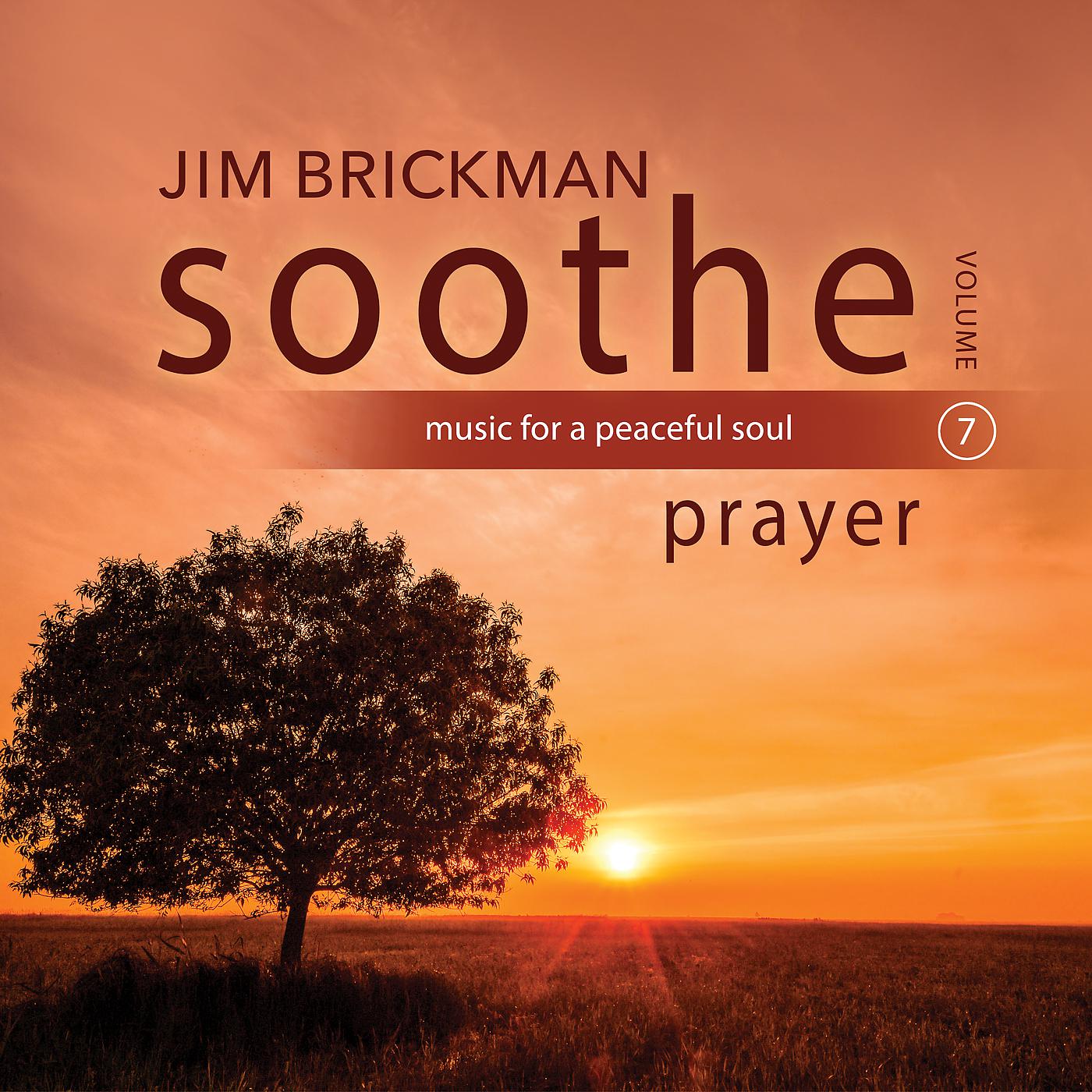 Постер альбома Soothe Vol. 7: Prayer