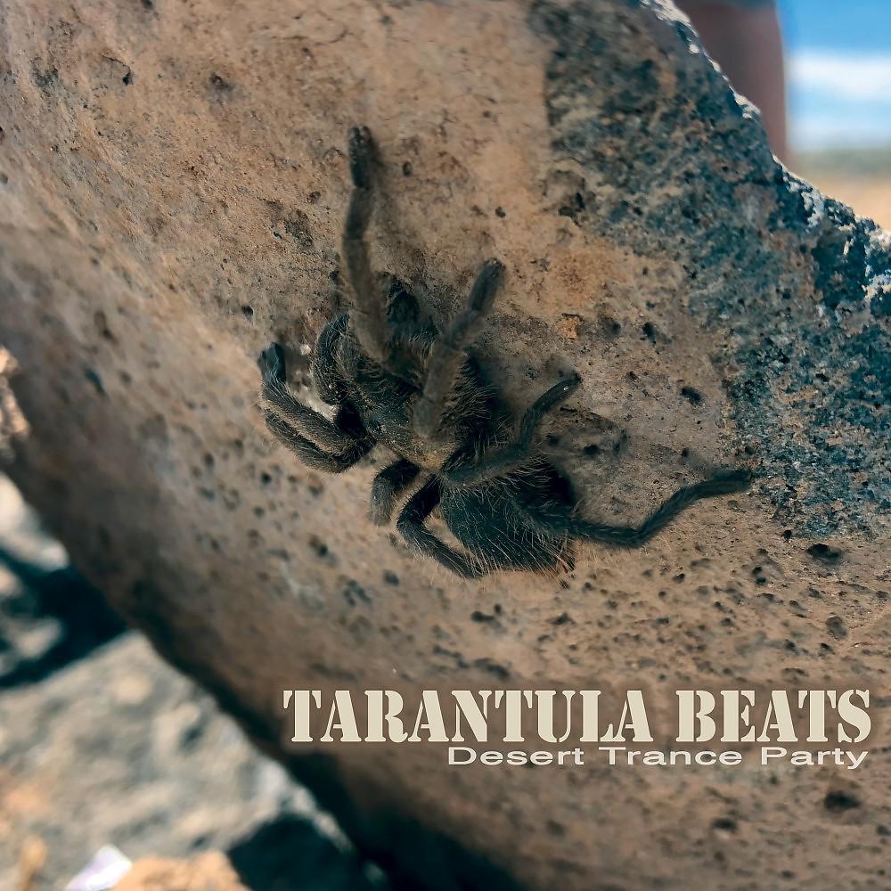 Постер альбома Tarantula Beats: Desert Trance Party