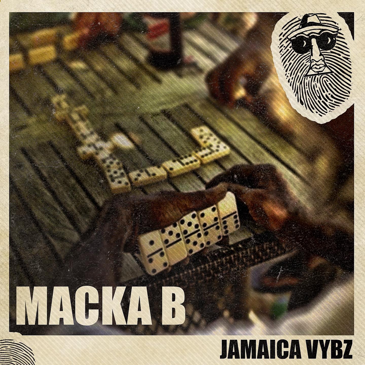 Постер альбома Jamaica Vybz