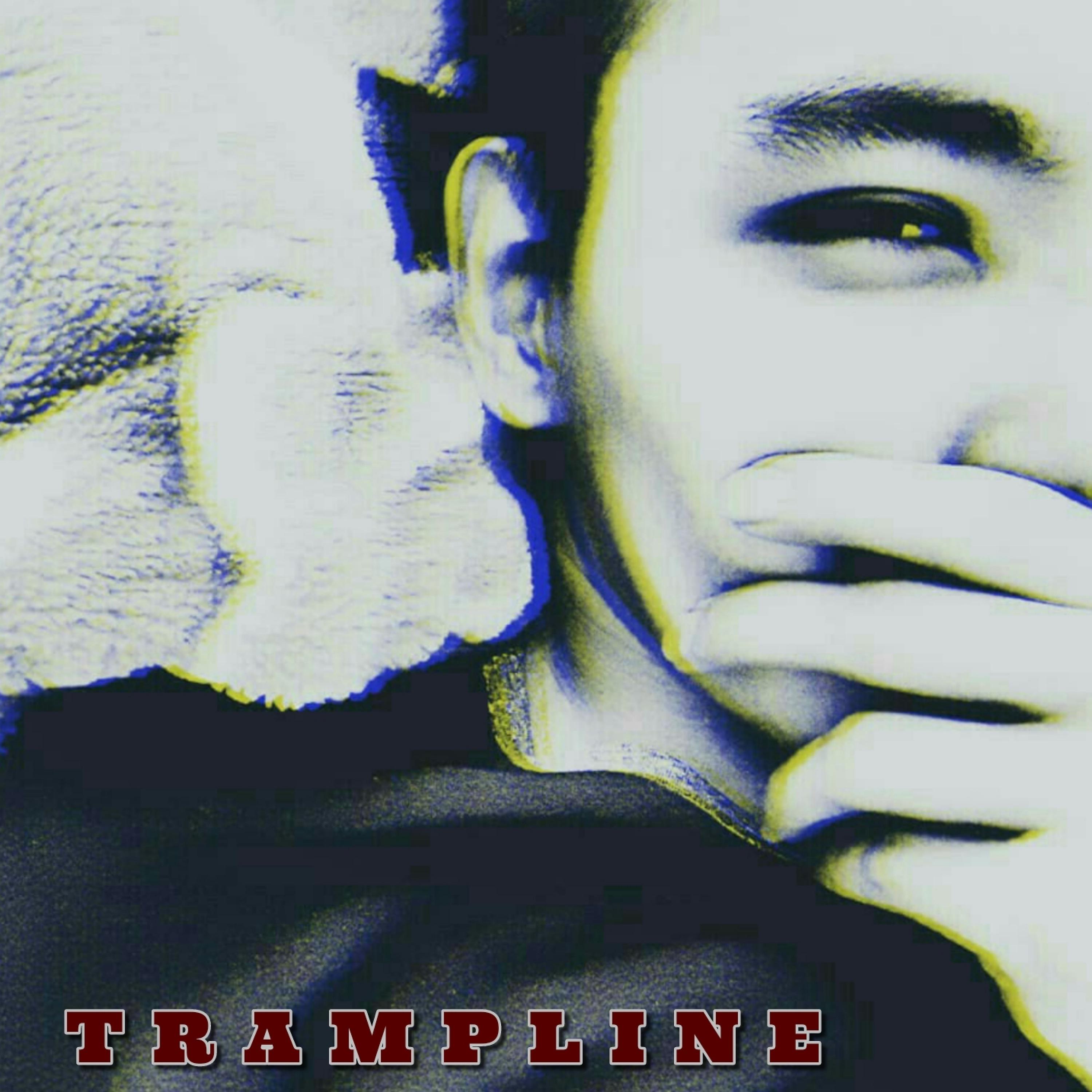 Постер альбома Trampline