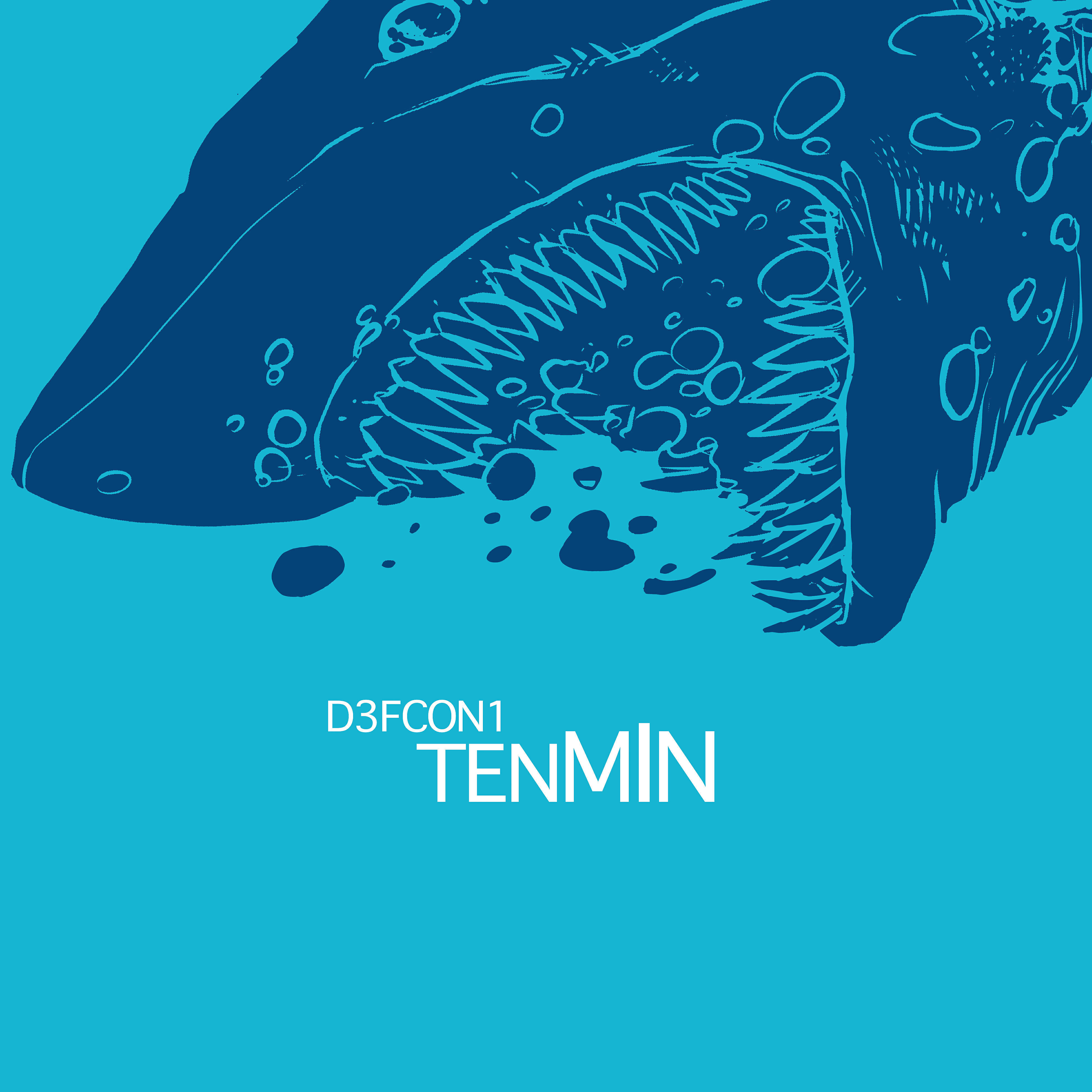 D3FCON1 - Tenmin