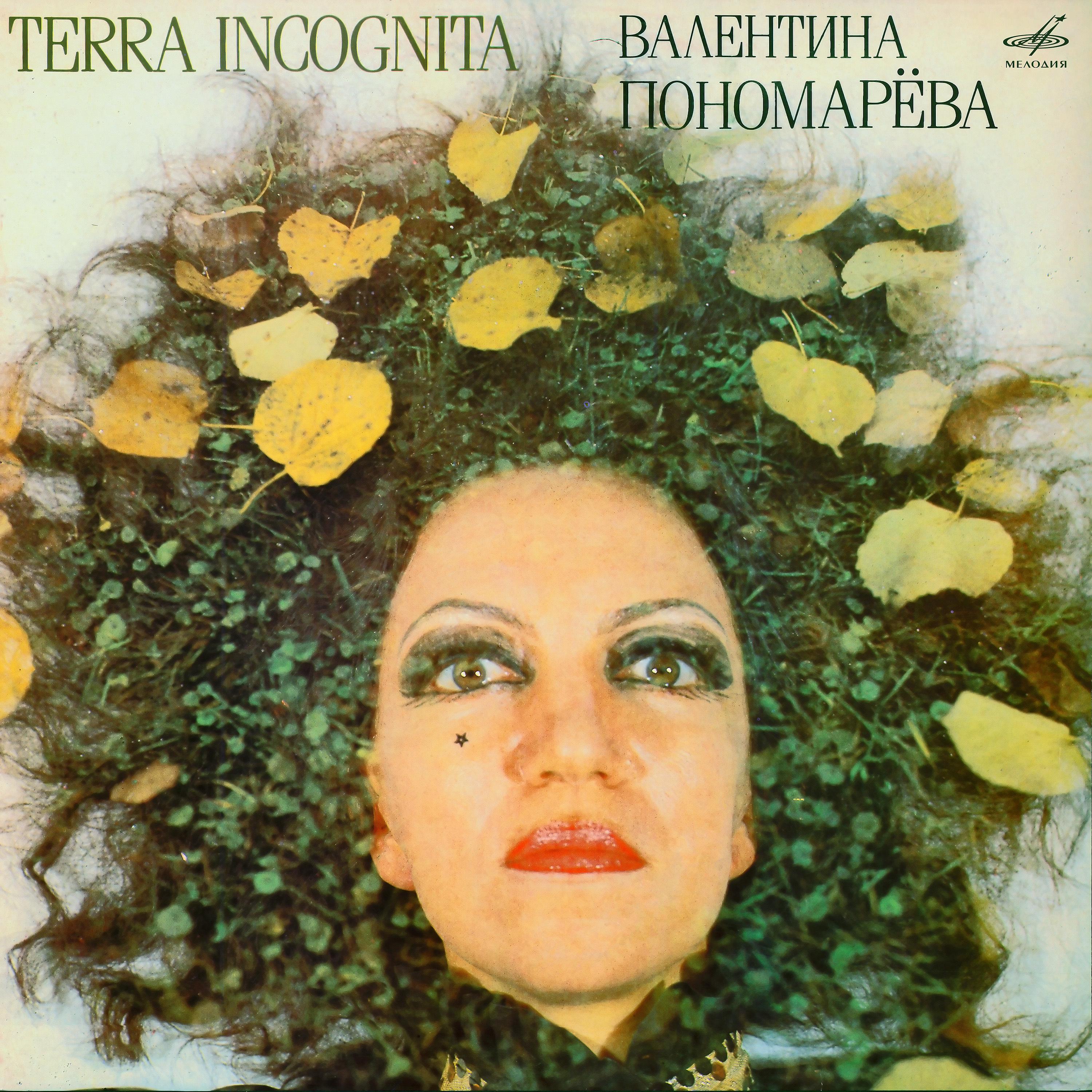 Постер альбома Terra Incognita