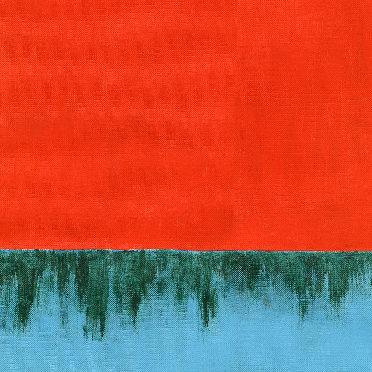 Pinegrove - Orange