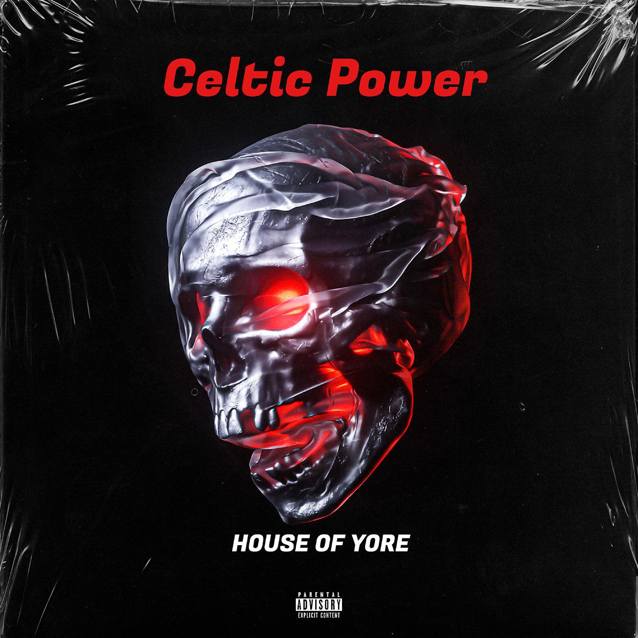 Постер альбома Celtic Power
