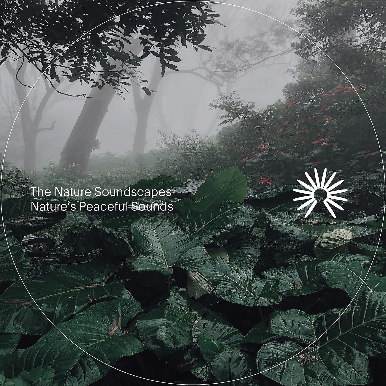 Постер альбома Nature's Peaceful Sounds