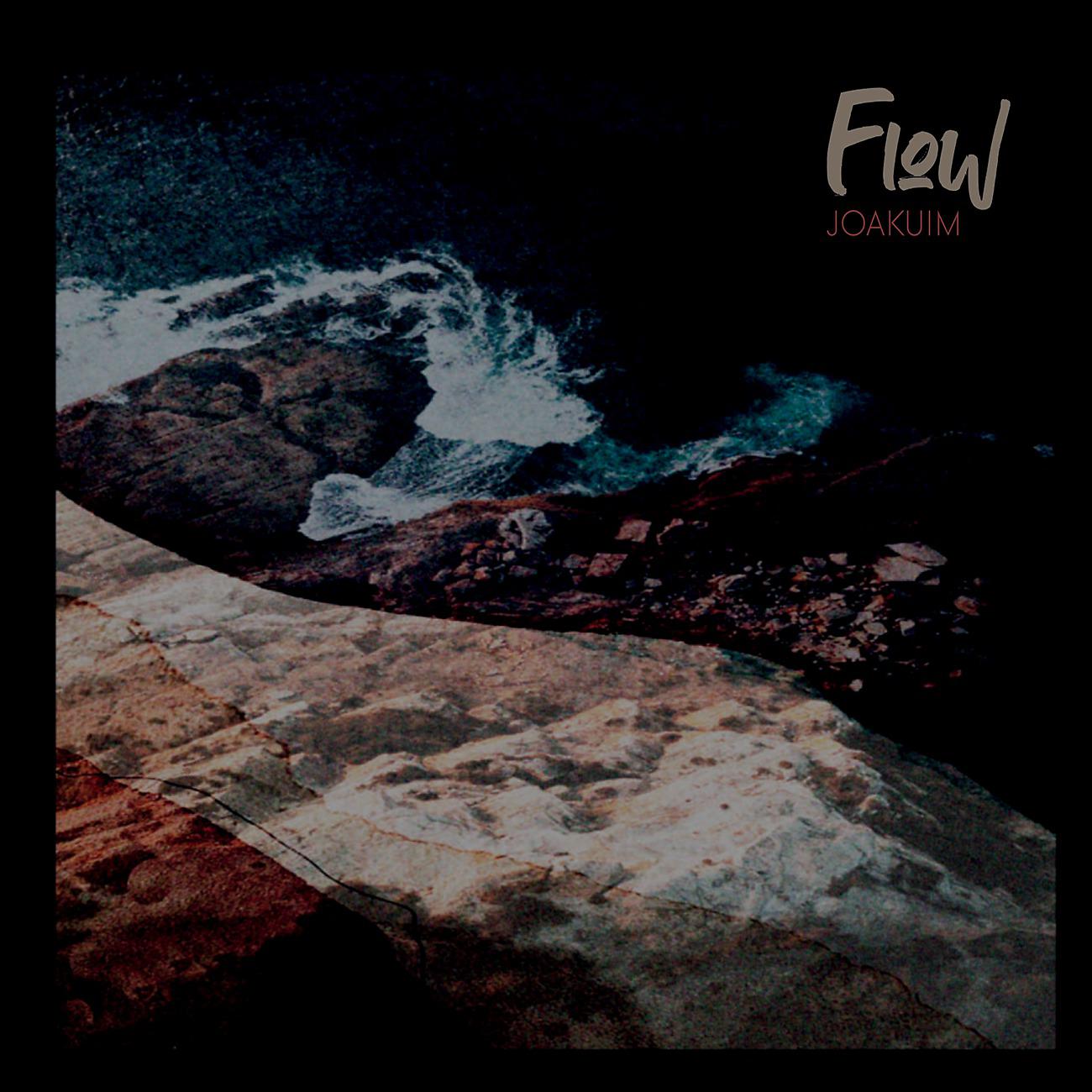 Постер альбома Flow LP