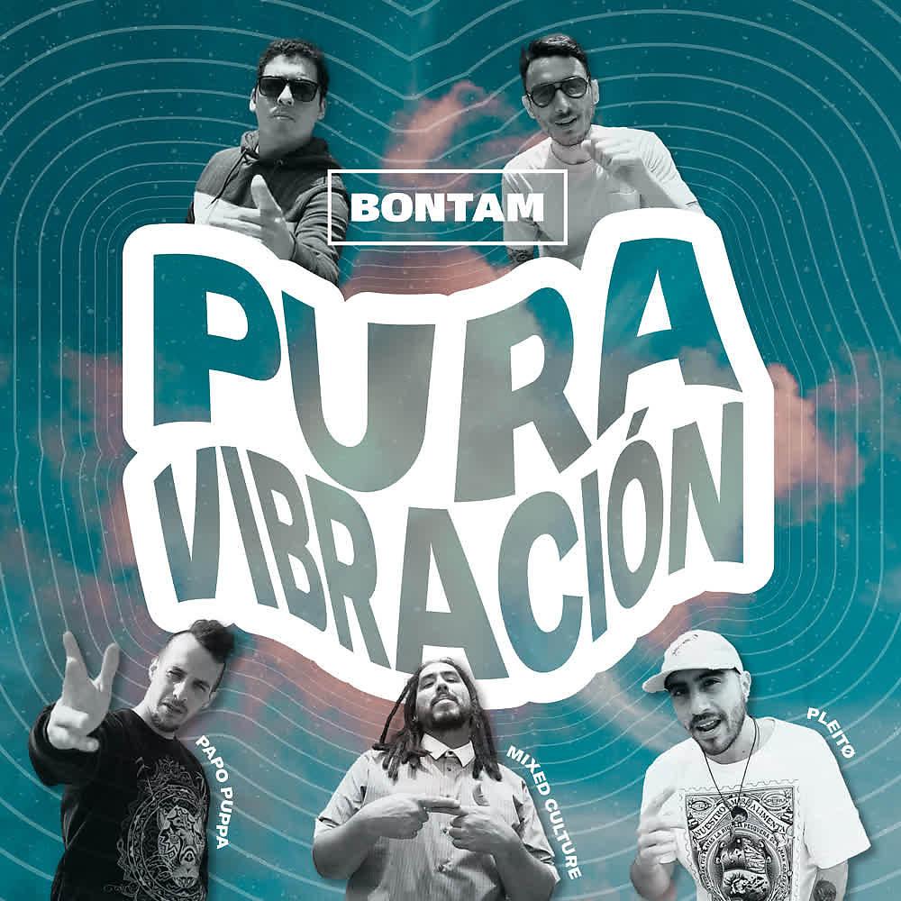Постер альбома Pura Vibración