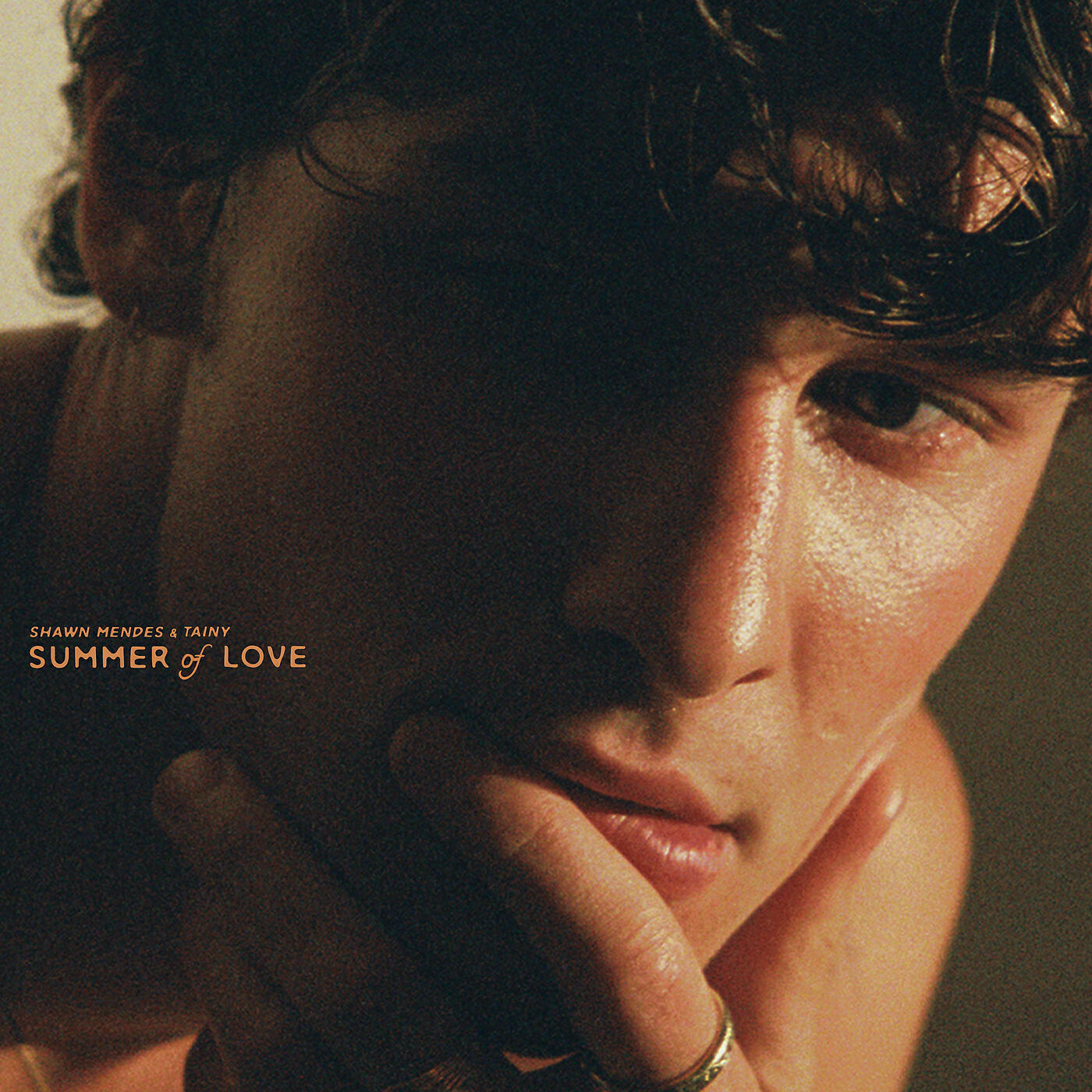 Альбом Summer Of Love исполнителя Tainy, Shawn Mendes