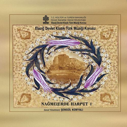 Mehmet Demir - Bir Şuh-i Sitemkar