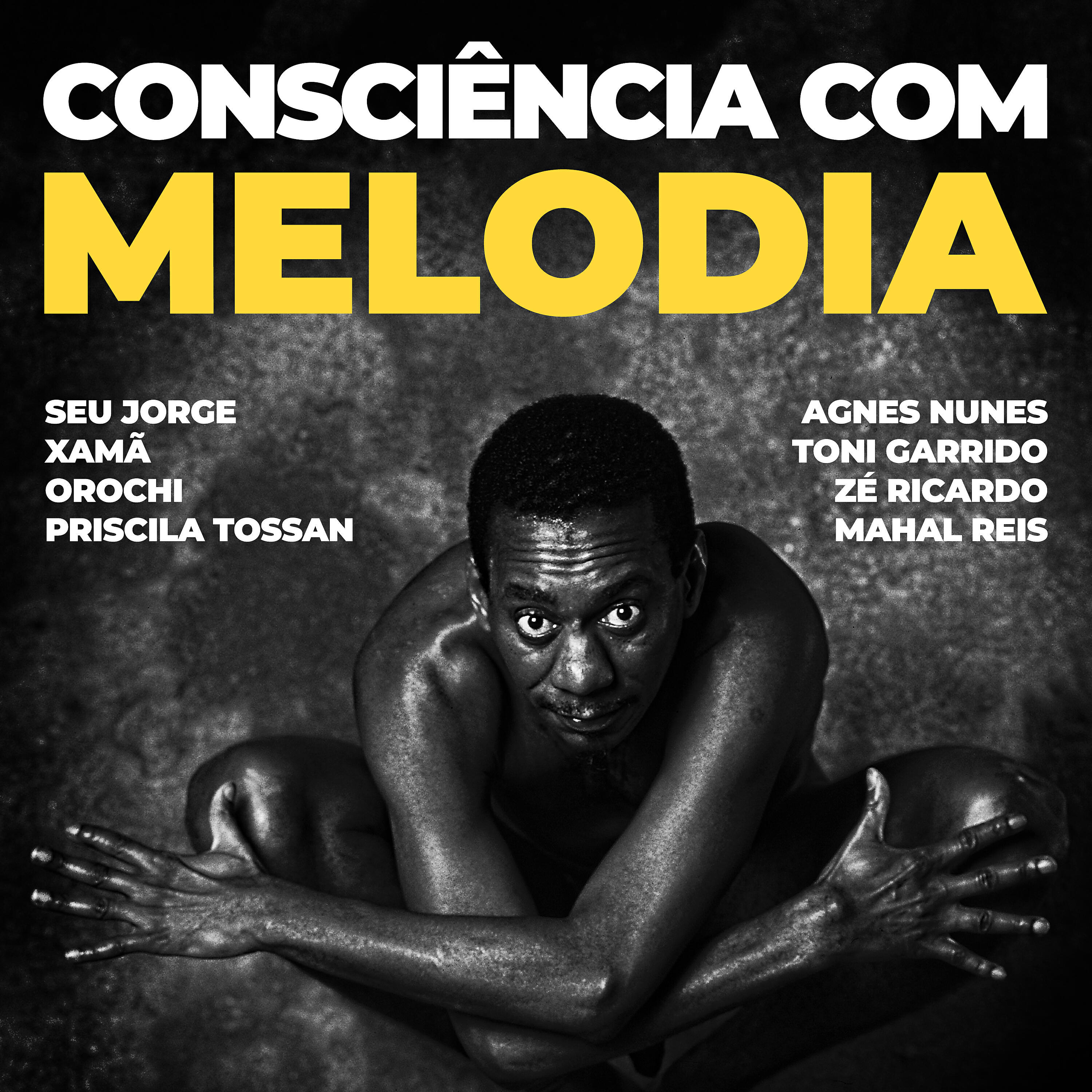 Priscila Tossan - Salve linda canção sem esperança