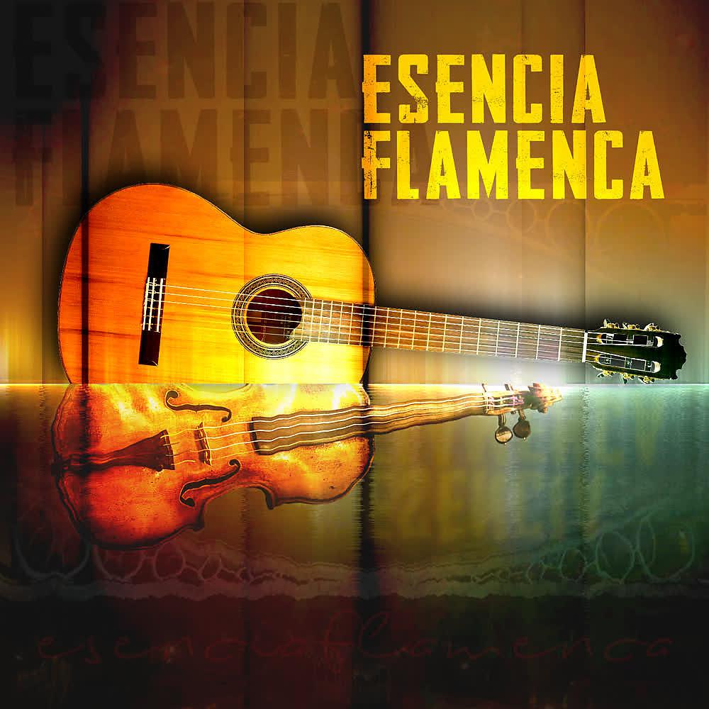 Постер альбома Esencia Flamenca