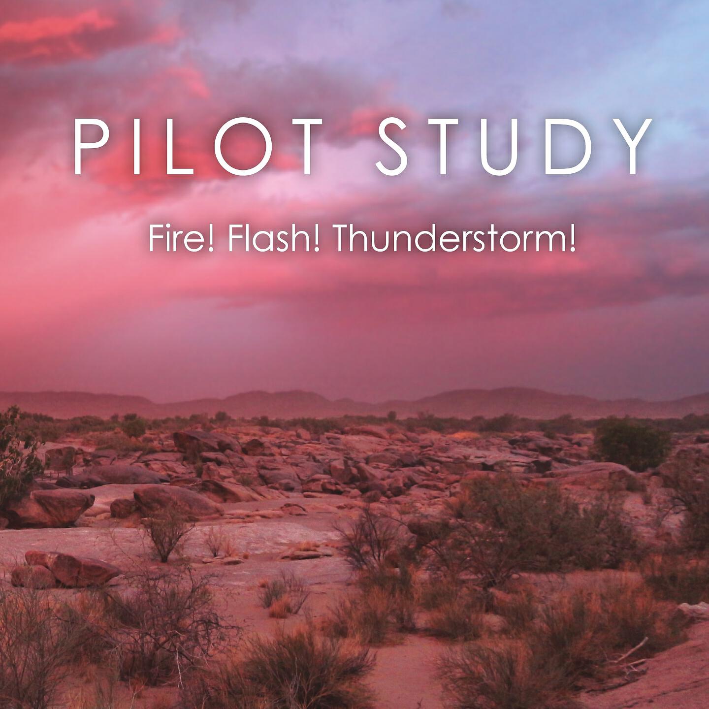 Pilot Study - Floodland
