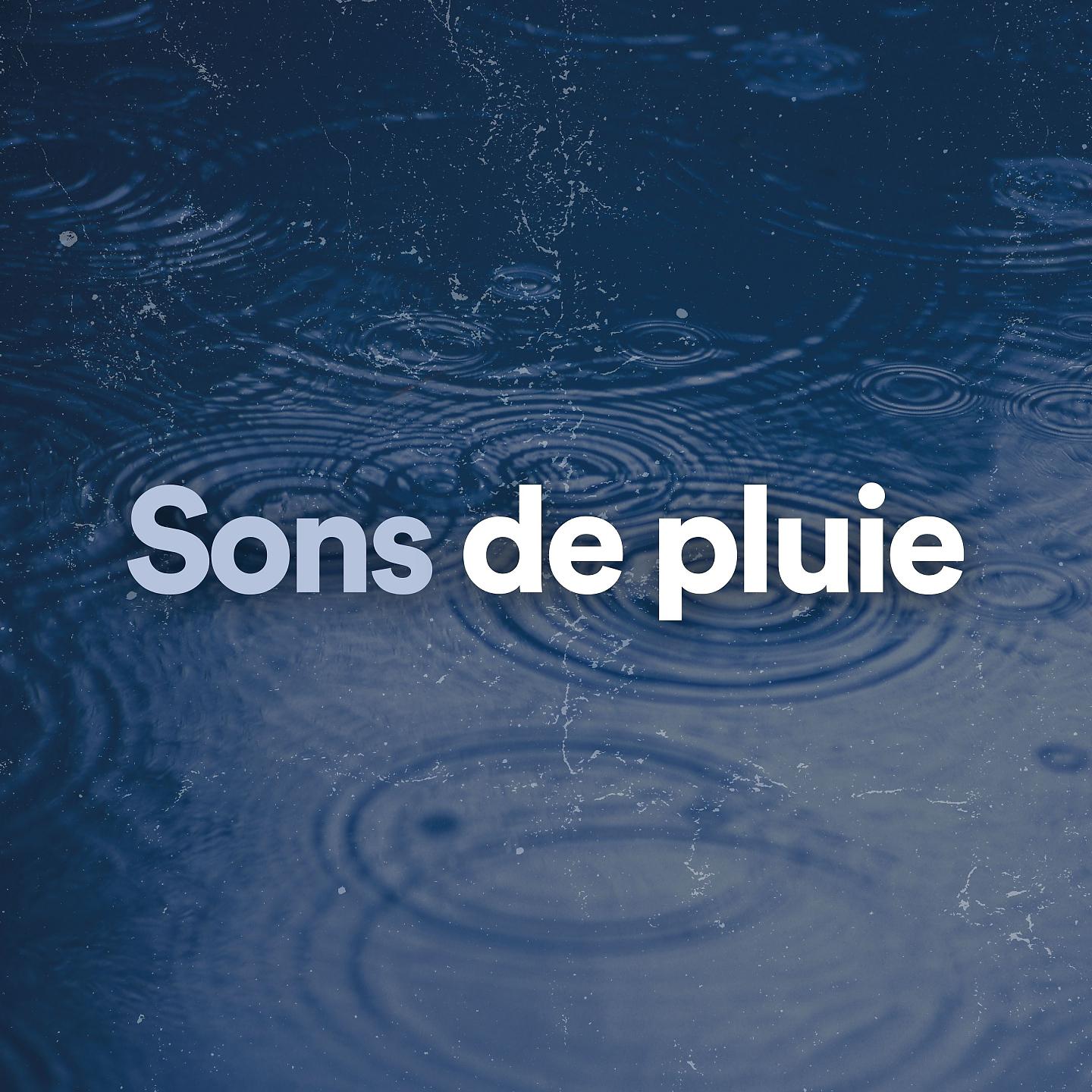 Постер альбома Sons de pluie