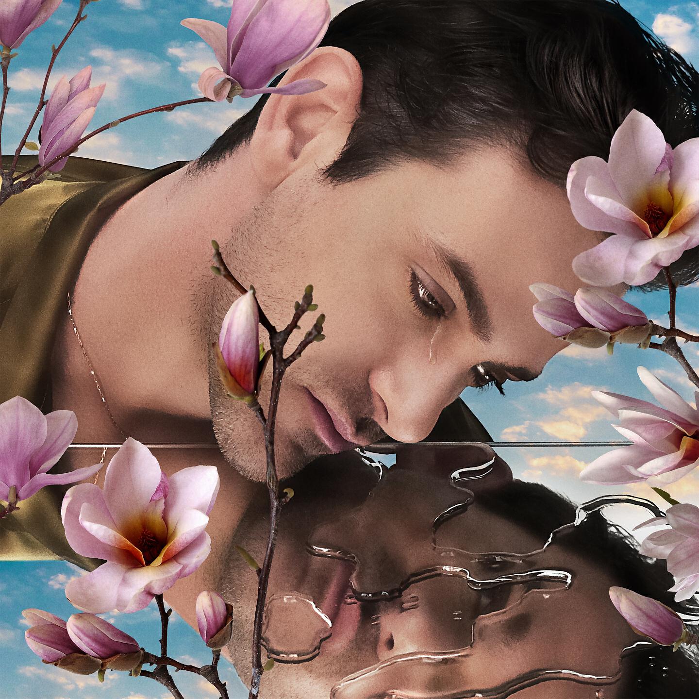 Josef Salvat - I'm Sorry