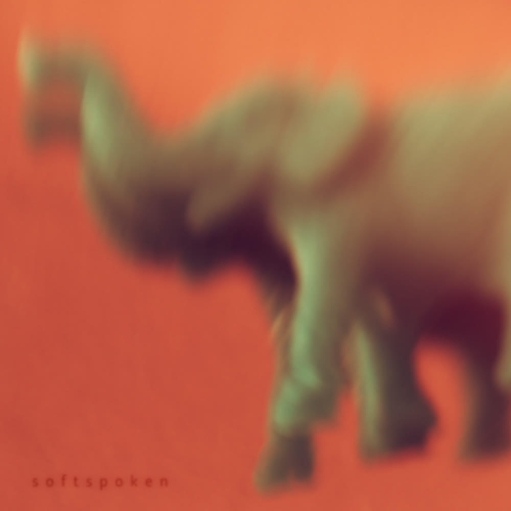 The Sorry Shop - Daydream Dancing