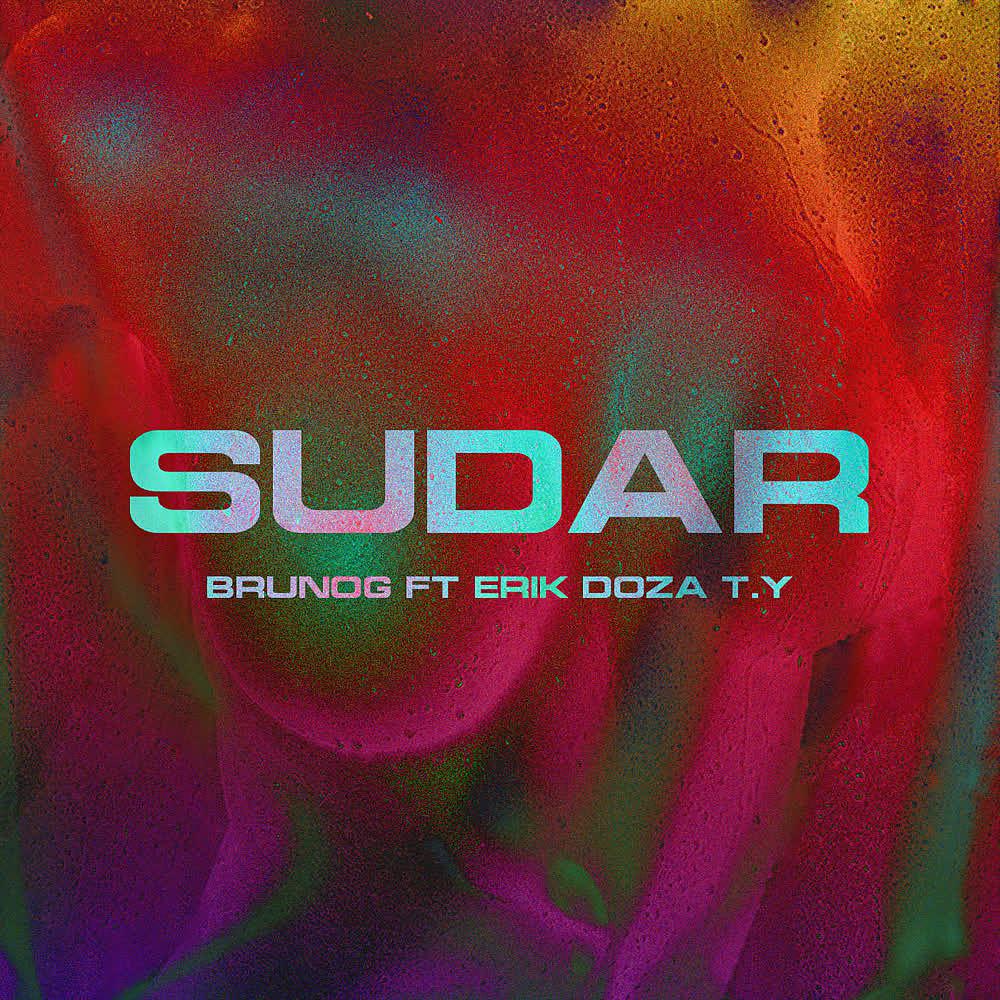 Постер альбома Sudar