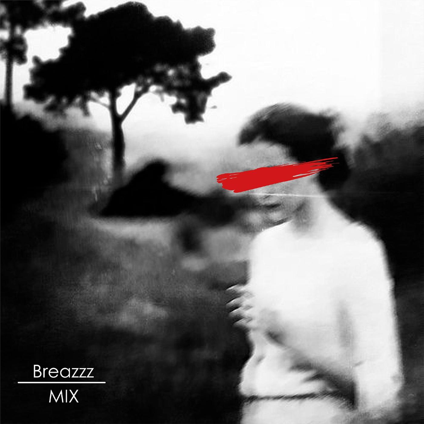 Постер альбома Vendit Amorem (Breazzz Mix)