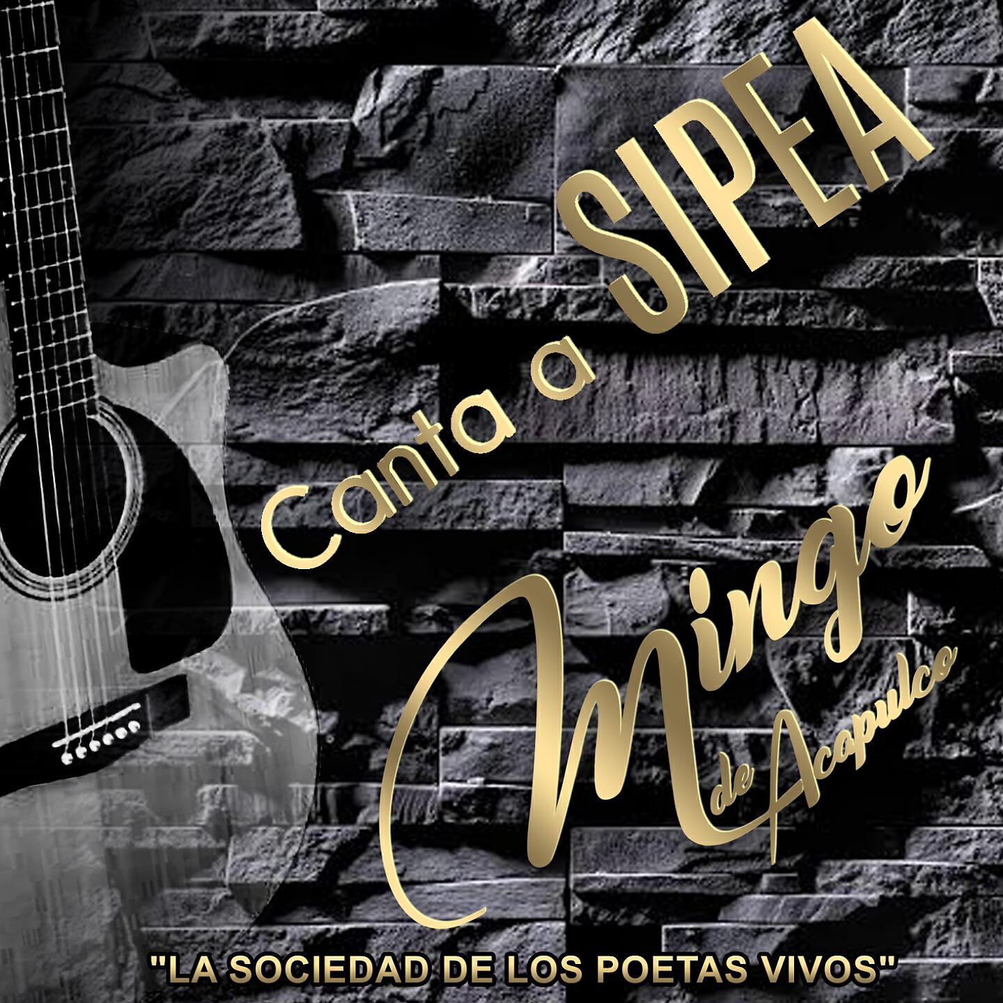 Mingo de Acapulco - Serenata Sin Luna / A Ti la Luna (Poema *Ángeles Rebolledo*)