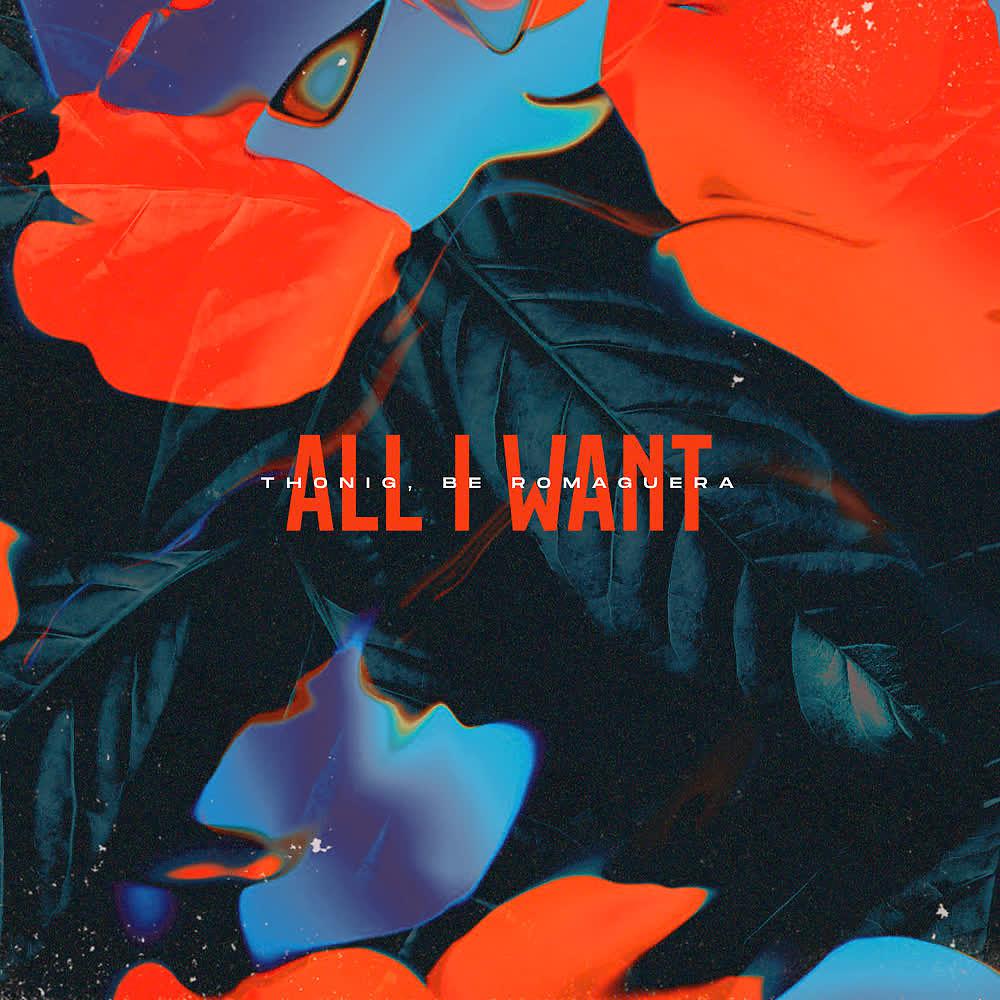 Постер альбома All I Want