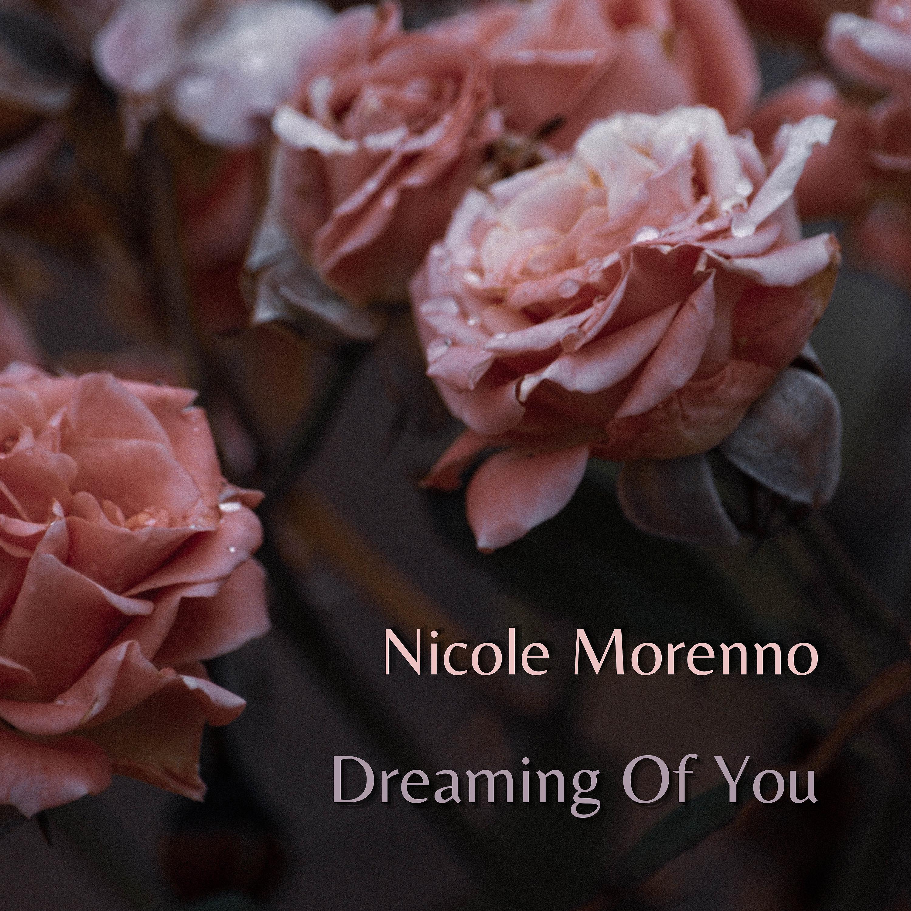 Постер альбома Dreaming Of You