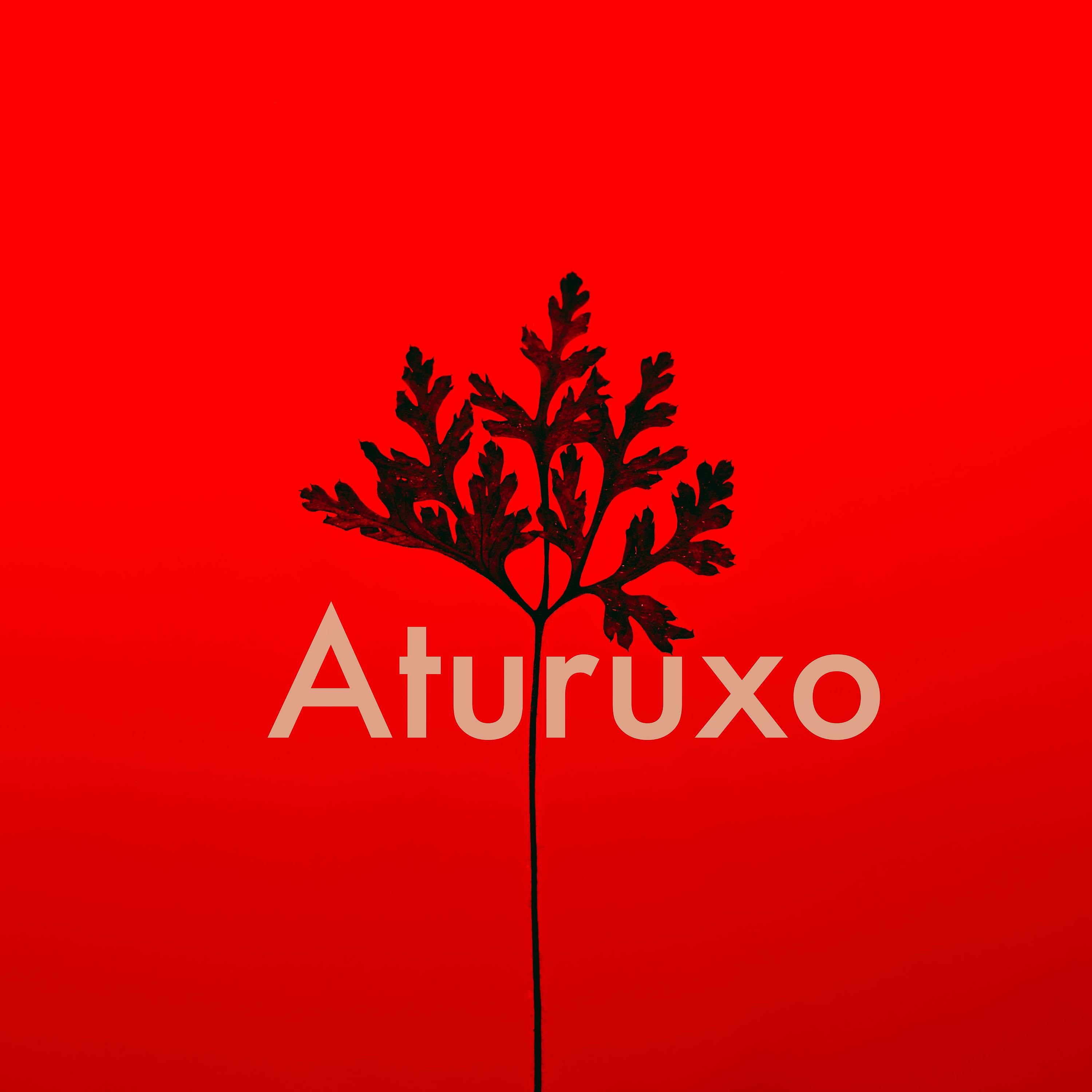 Постер альбома Aturuxo