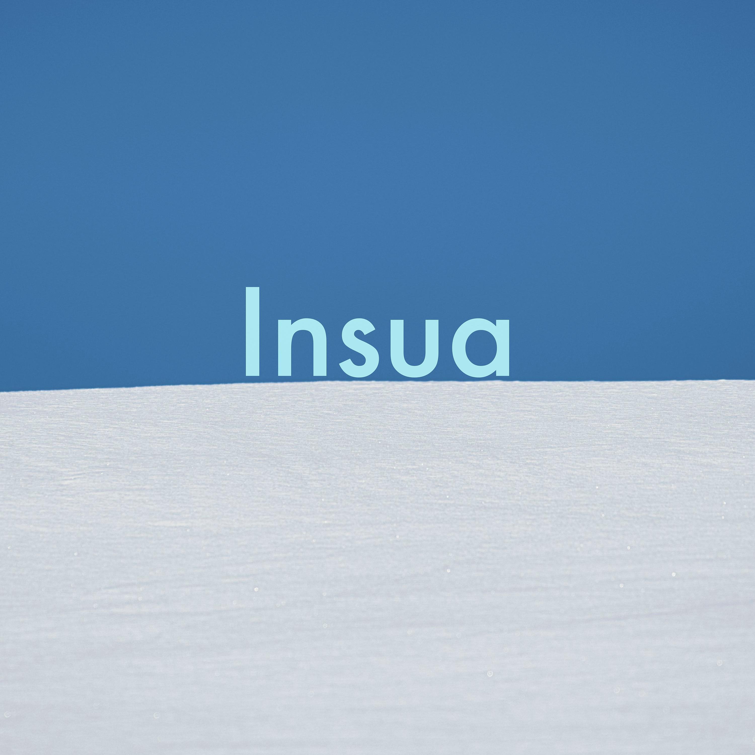 Постер альбома Insua