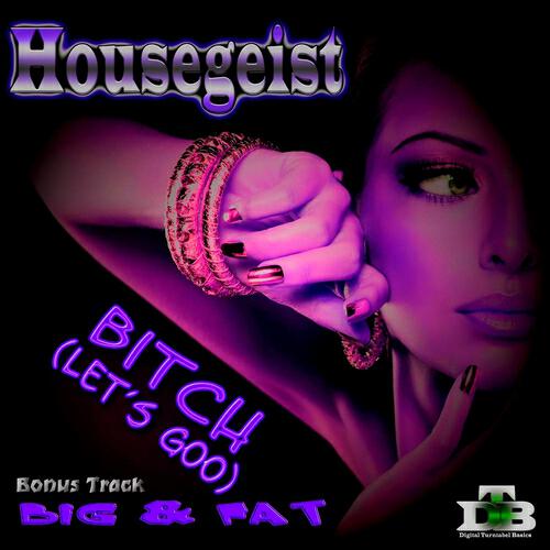 Housegeist - Lets Goo Bitch (Radio Mix)