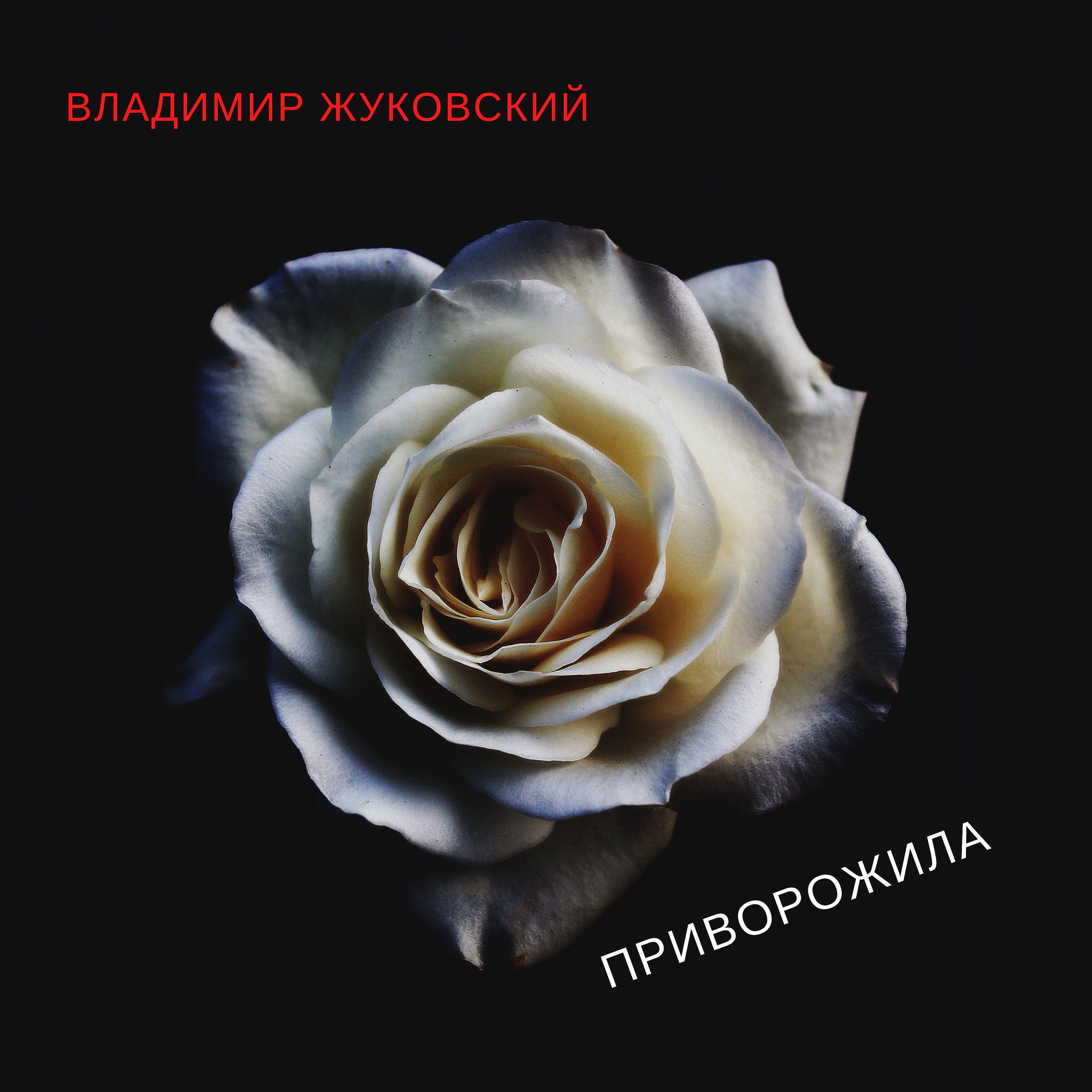 Владимир Жуковский - Приворожила