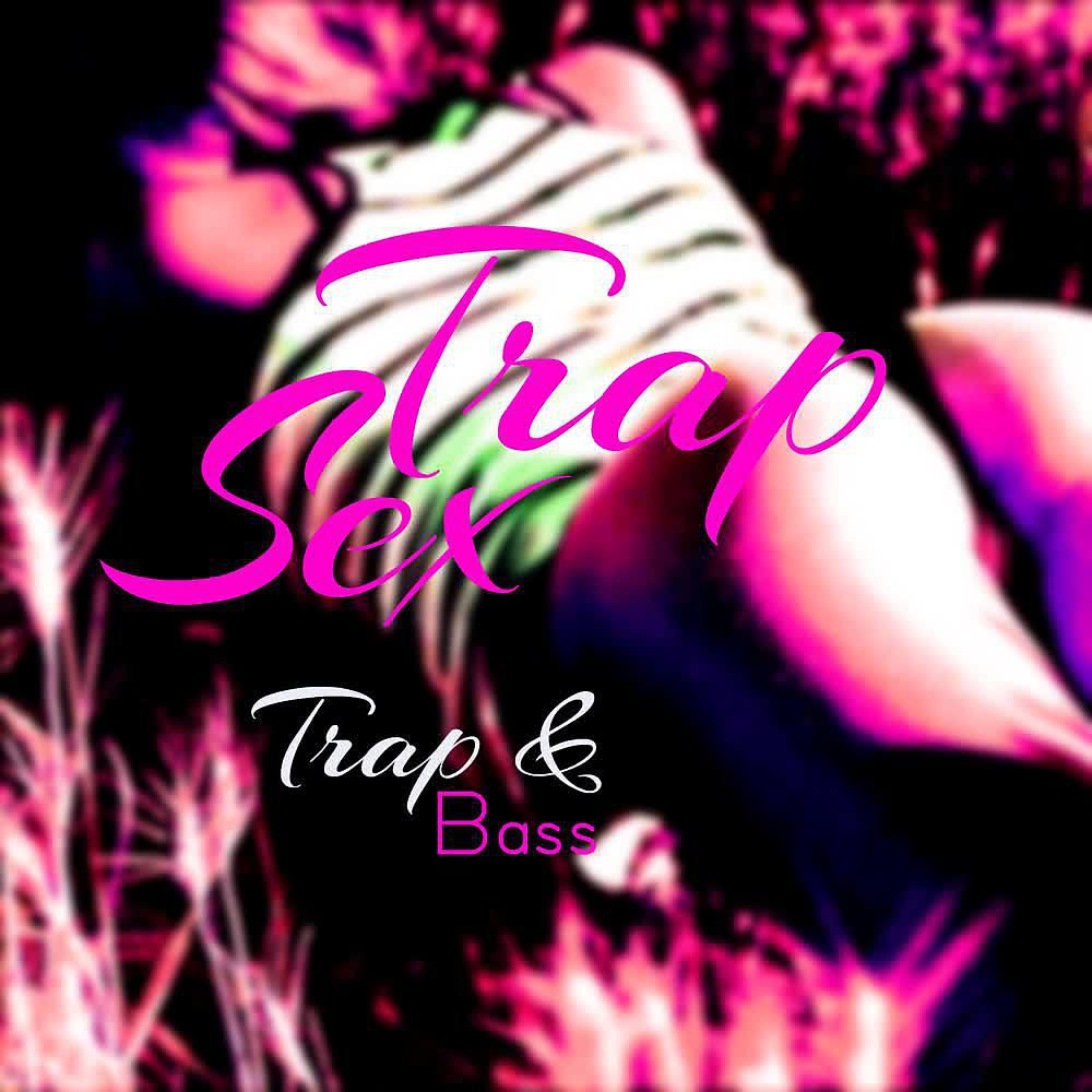 Постер альбома Trap Sex