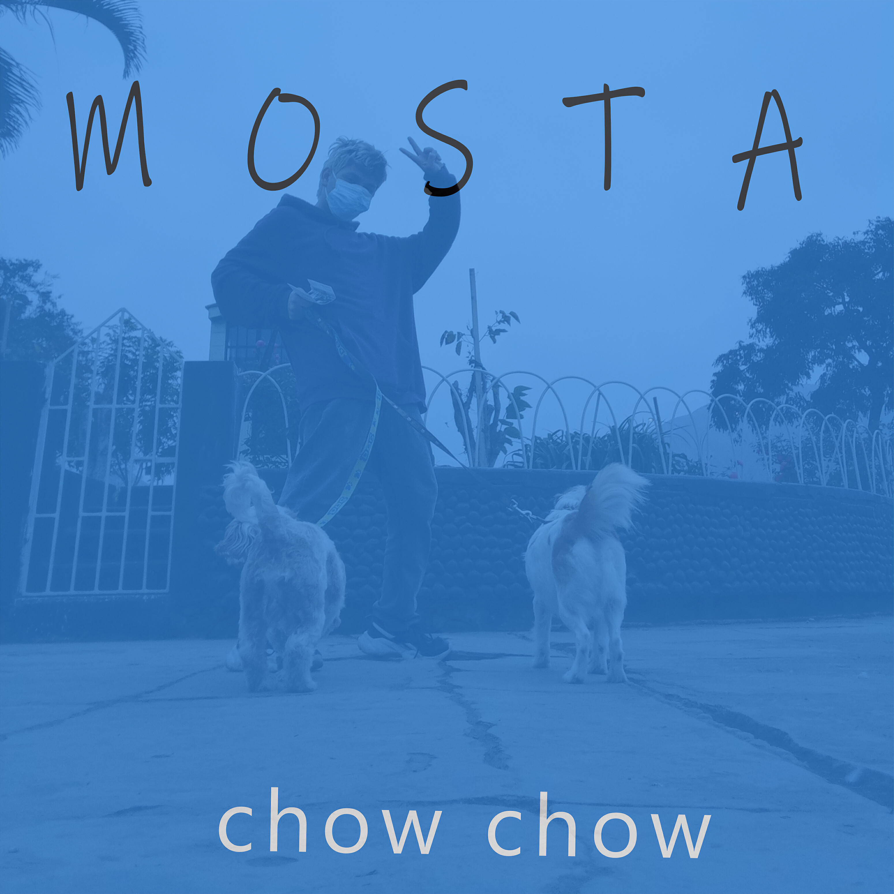 MOSTA - Chow Chow
