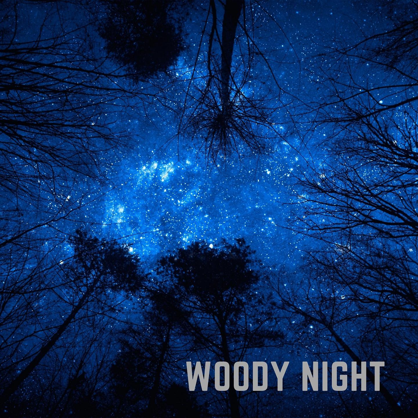 Постер альбома Woody Night
