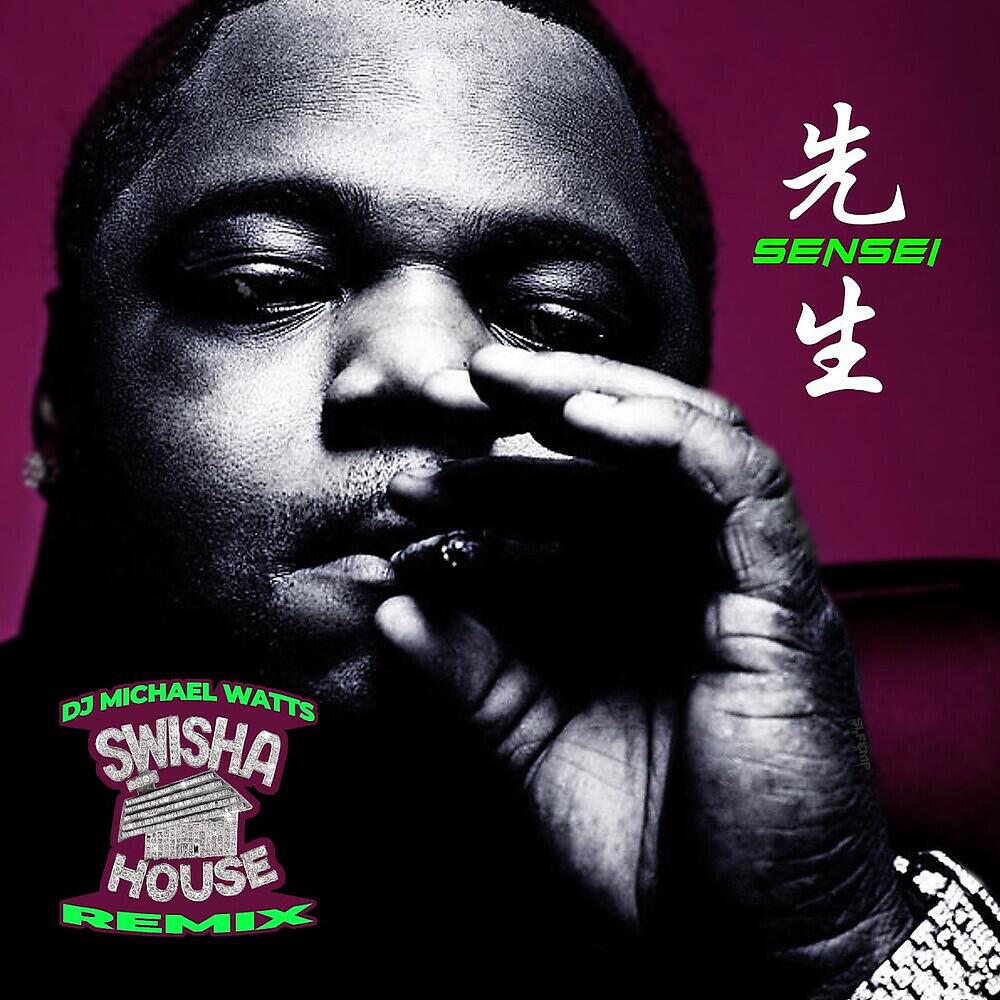 Big Pokey - Stand The Rain (Swisha House Remix)