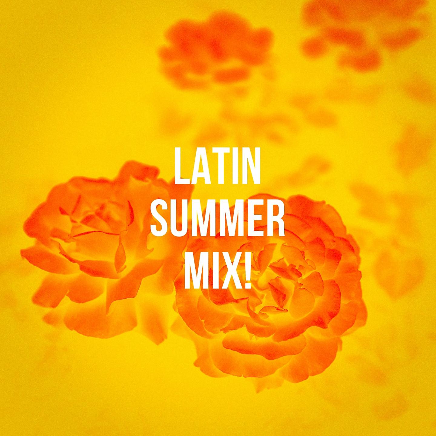 Постер альбома Latin Summer Mix!