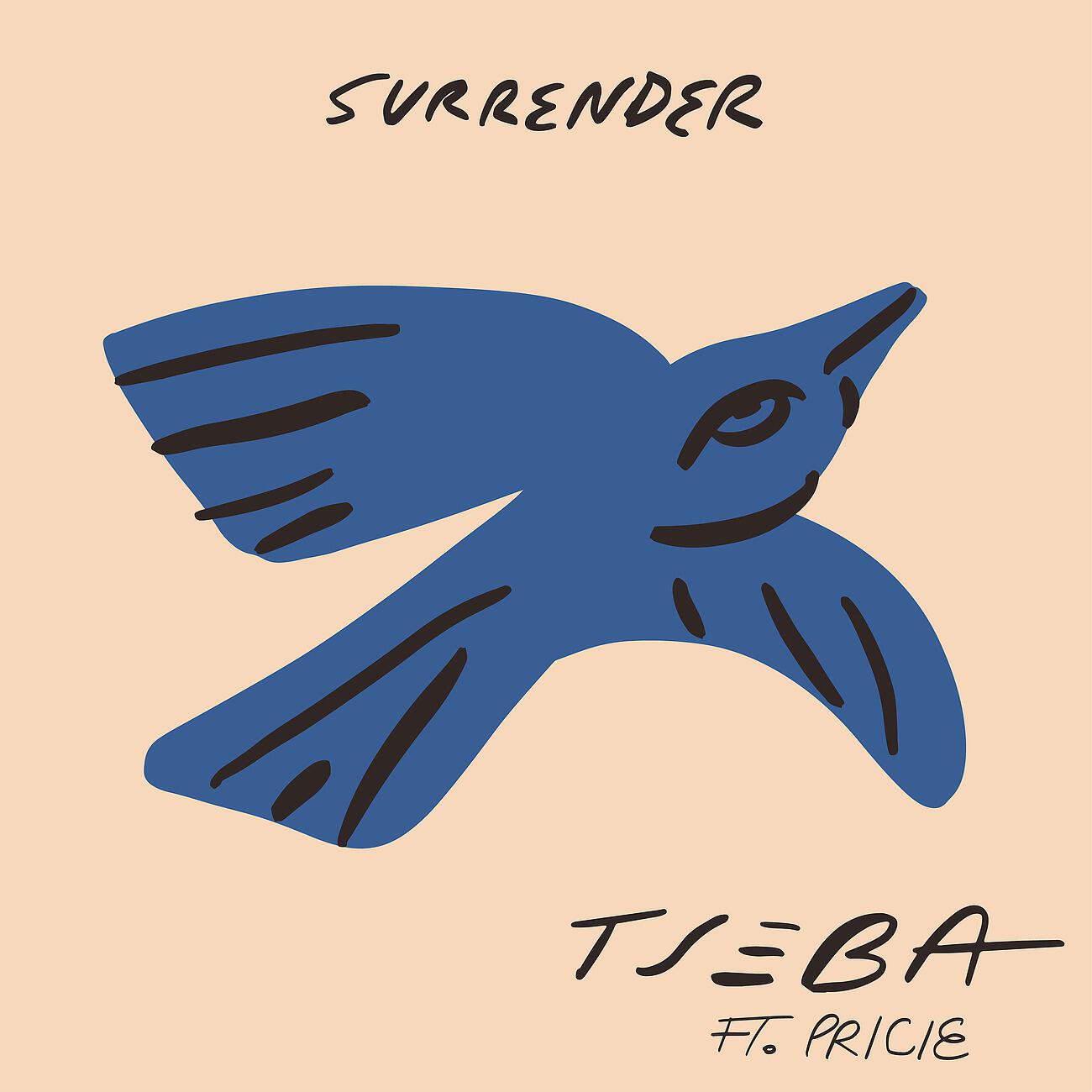 Tseba - Surrender