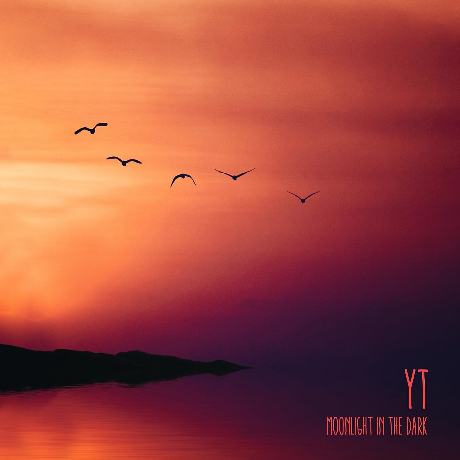 YT - In the Dark (Scratch Mix)